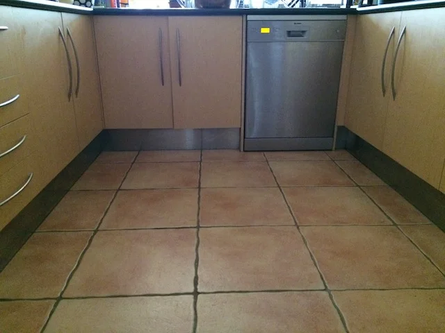 Internal pest treatment