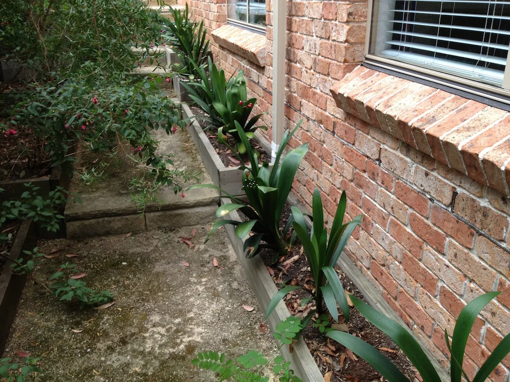 External perimeter.jpg