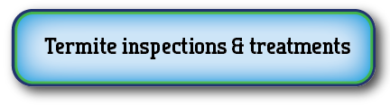 Termite inspection Canberra and Termite treatments