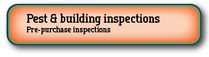 Building and pest inspections