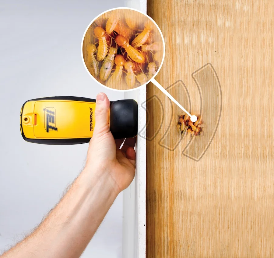 Termatrac and termites