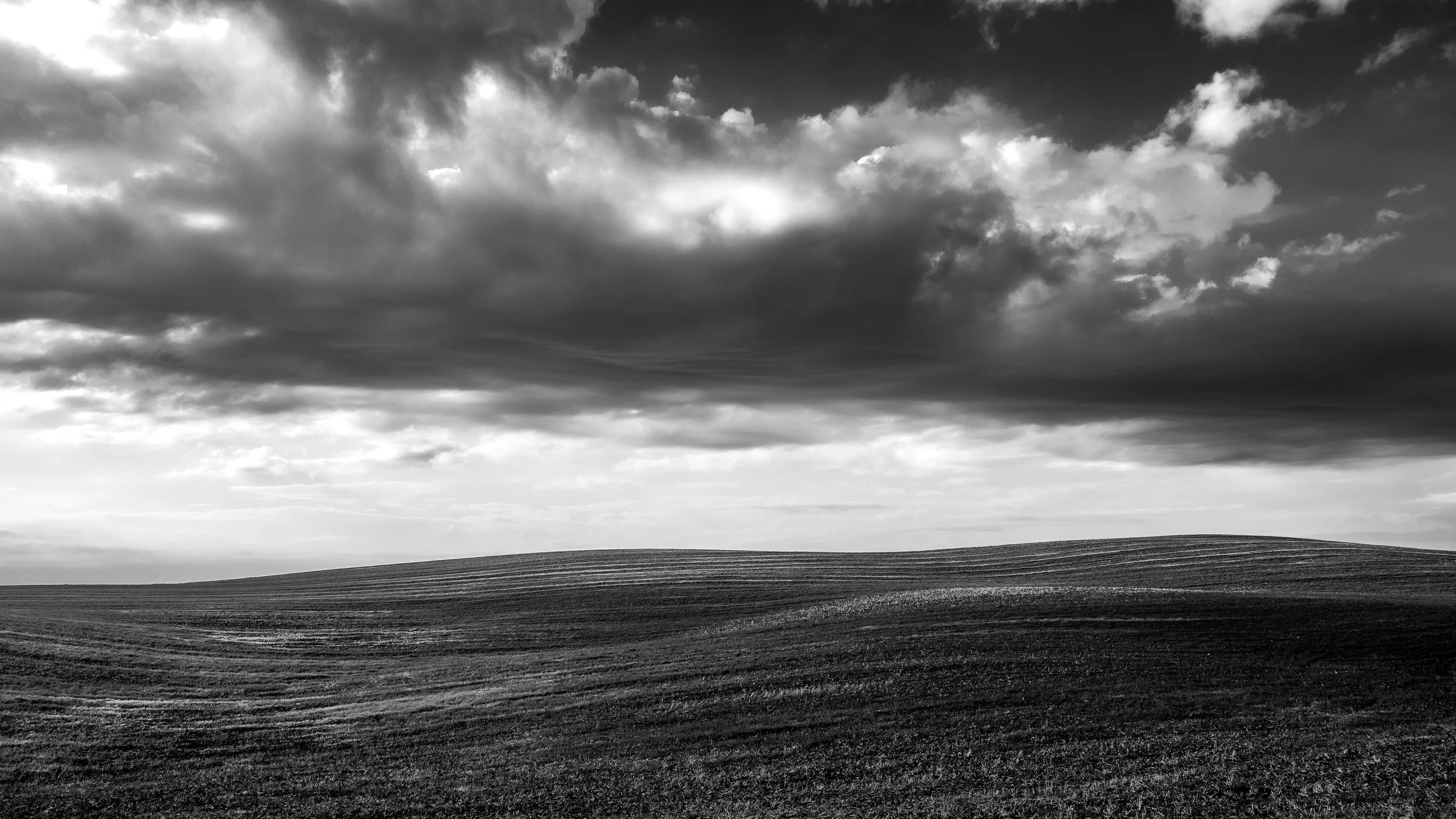 pexels-marek-piwnicki-3907296-18950022.jpg
