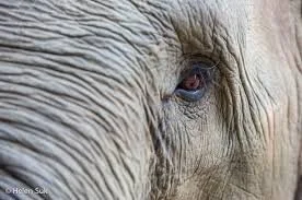 Unlearning Learned Helplessness in Caregivers