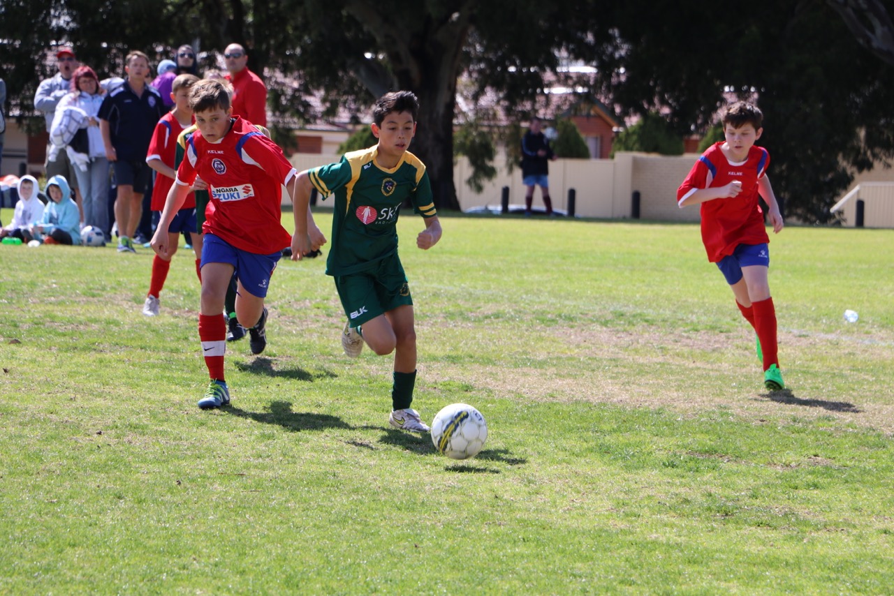 Our B12 North Division 2 side won their semi final against Quinns - Photo Courtesy of Gabriele Maluga