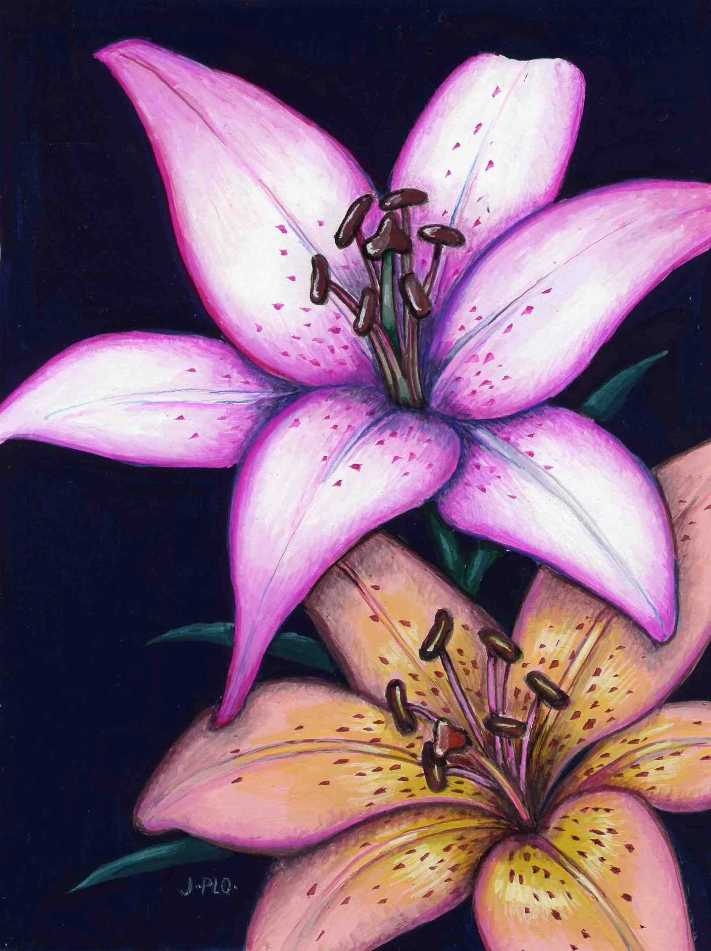 LILLY