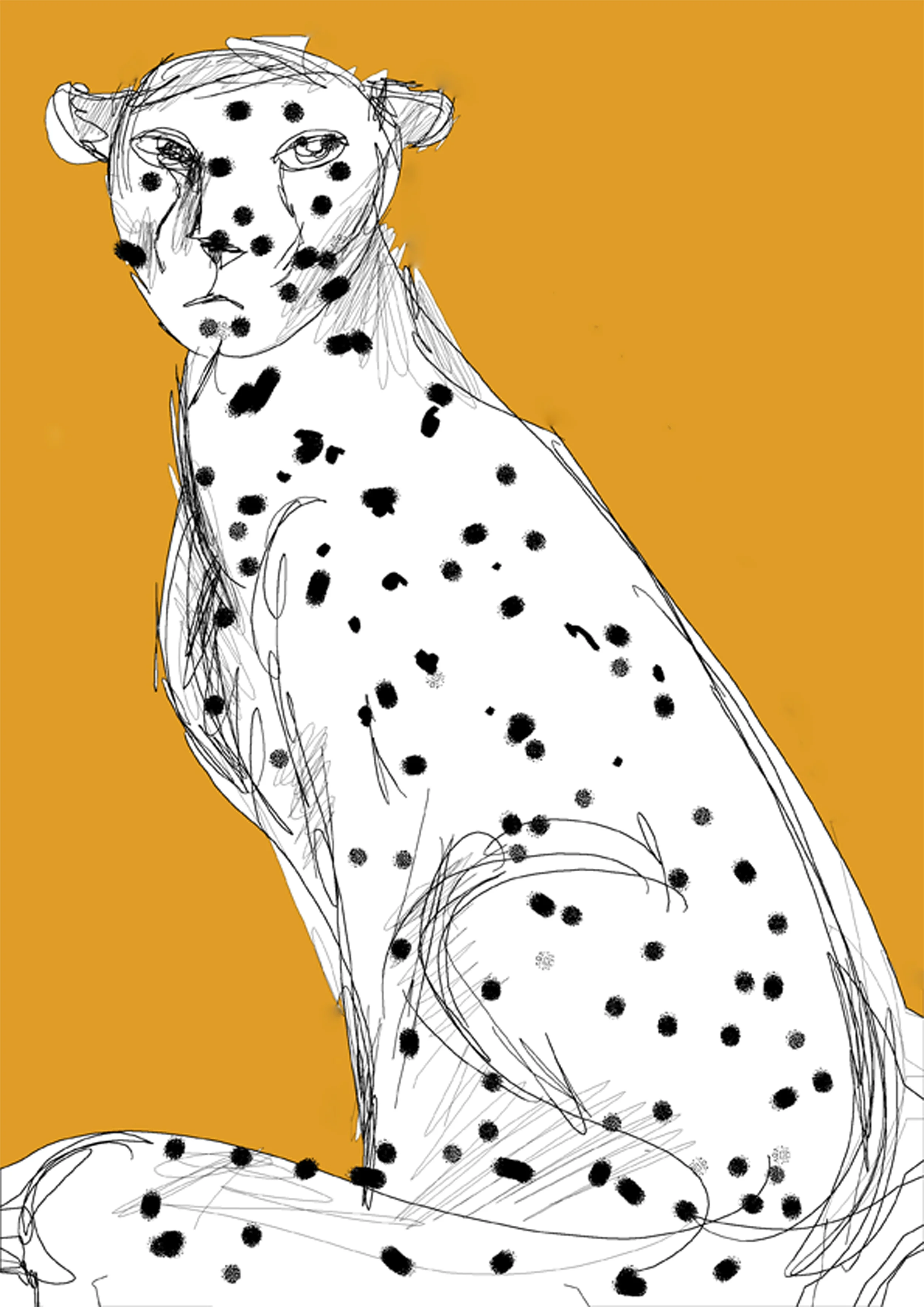 gatopardo  XMB.jpg