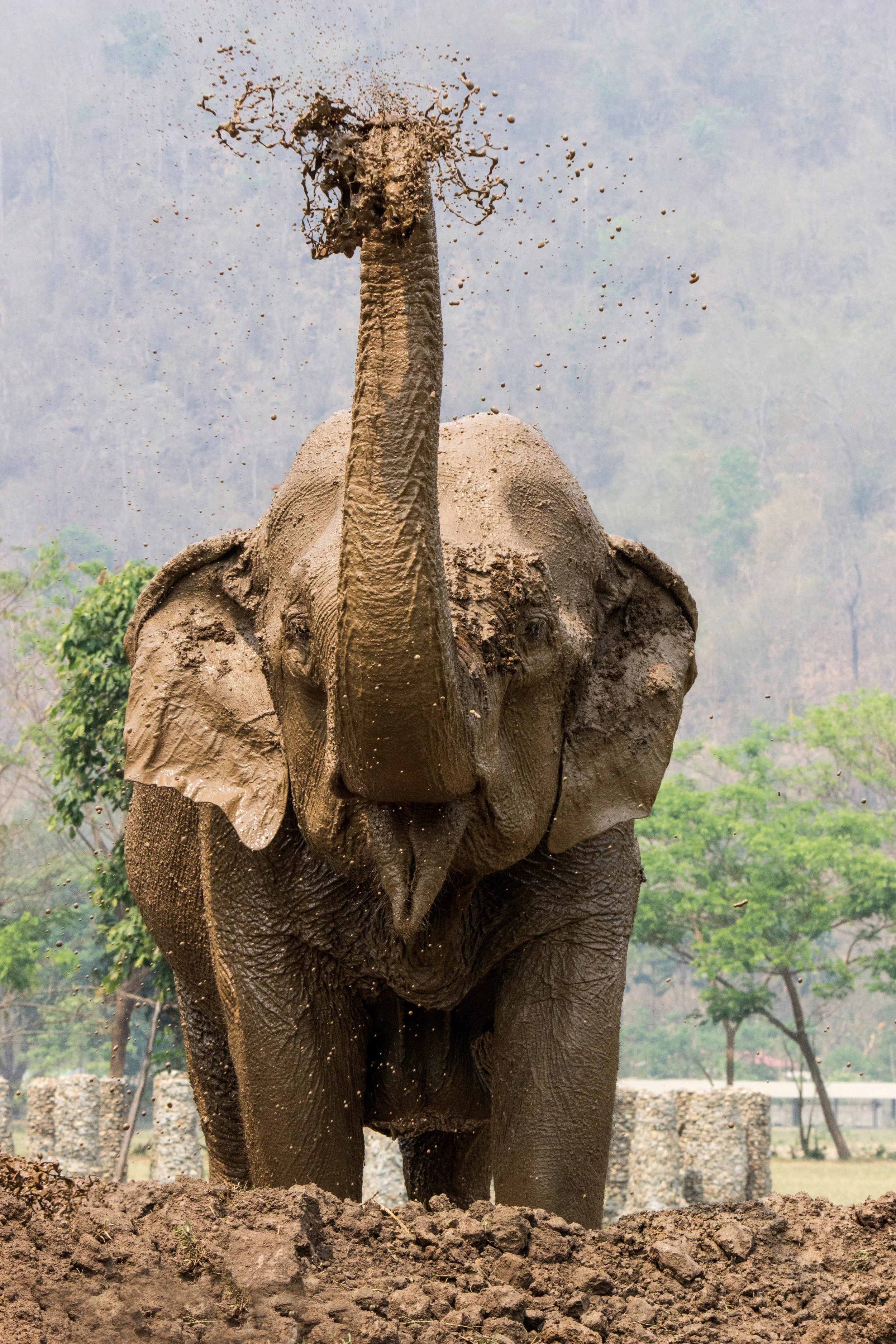 Mud Bath