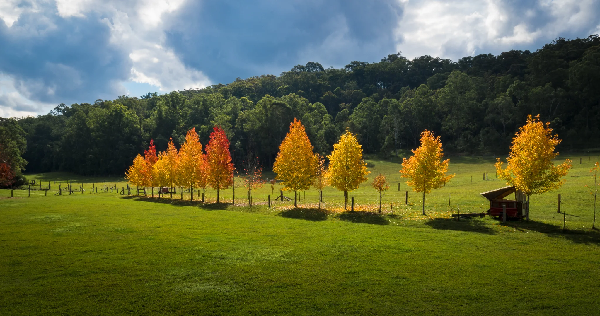 Autumn in Wollombi Valley