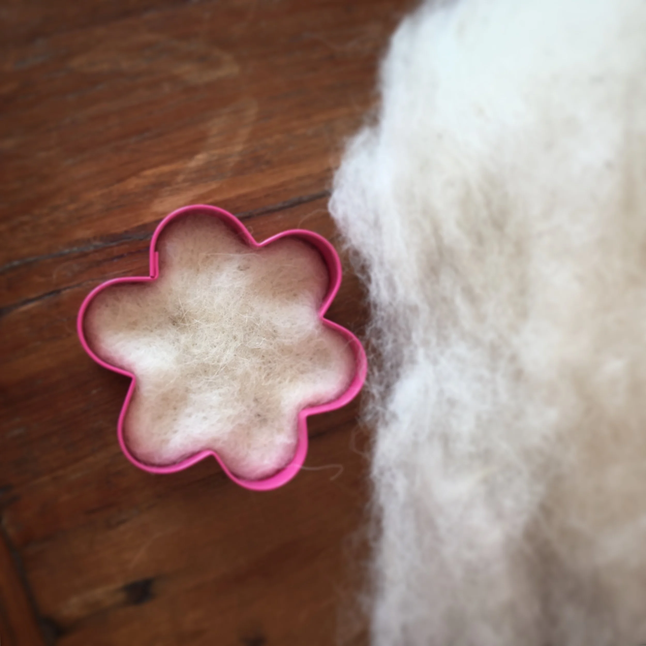 Alpaca Fleece