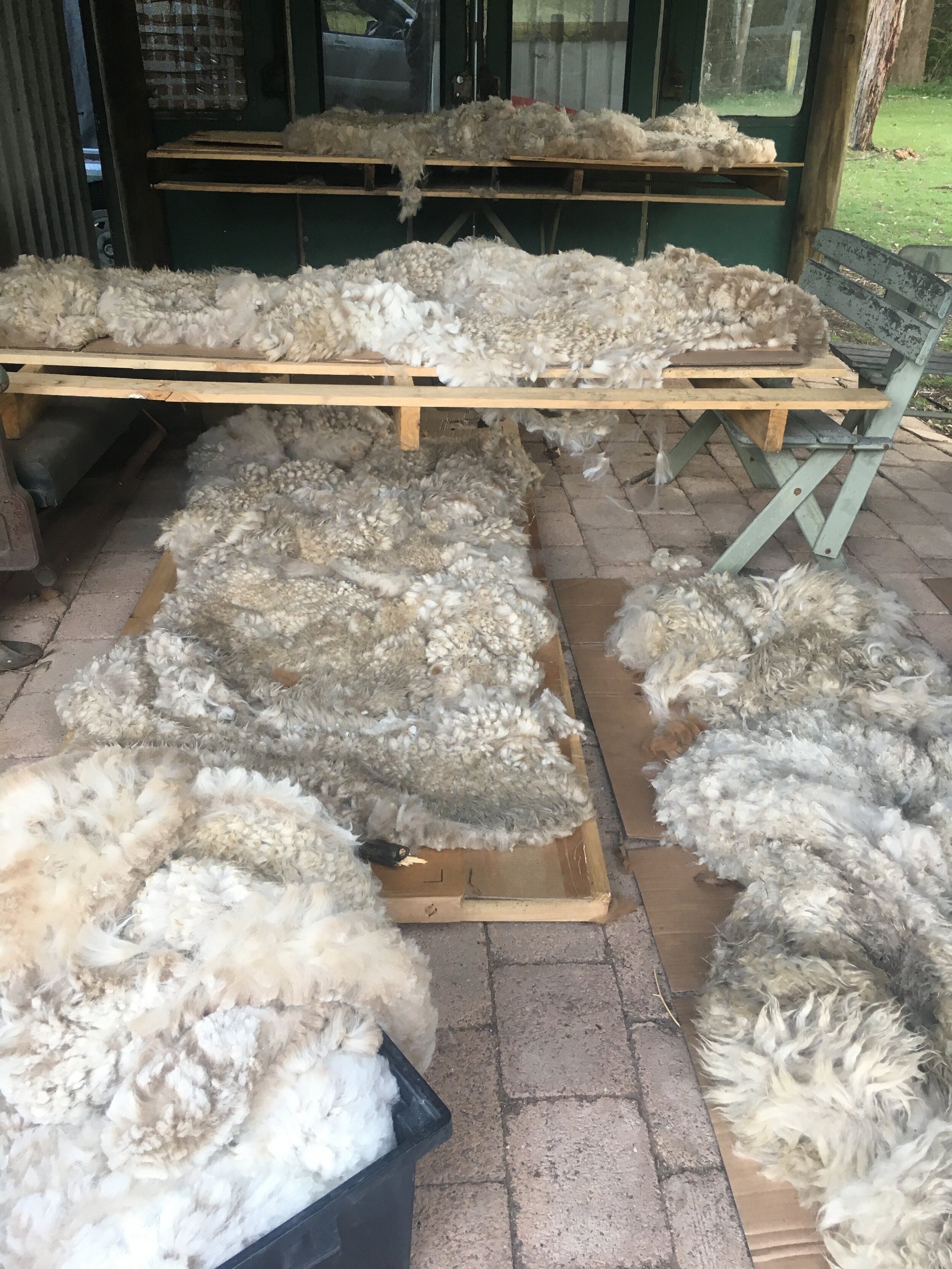 Alpaca fleece for sale — Little Valley Farm