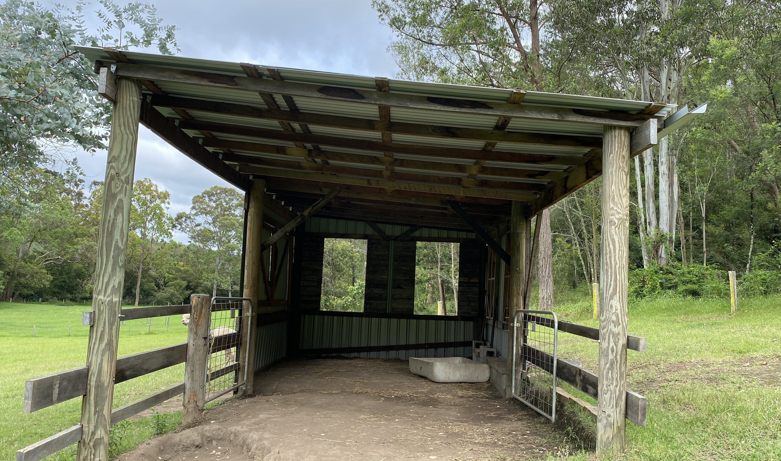 little valley farm alpaca sheds IMG_3944.jpg