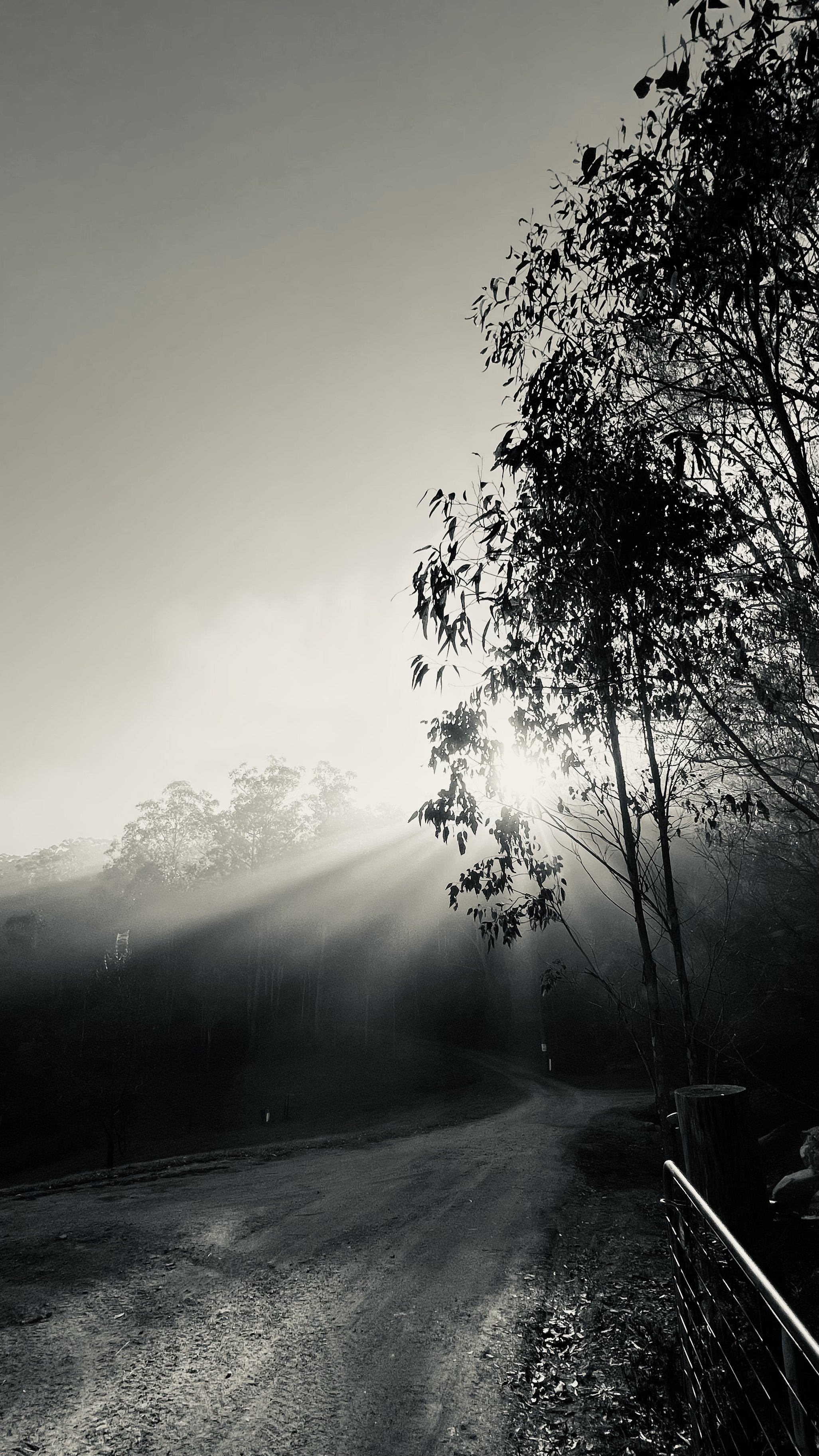 misty mornings