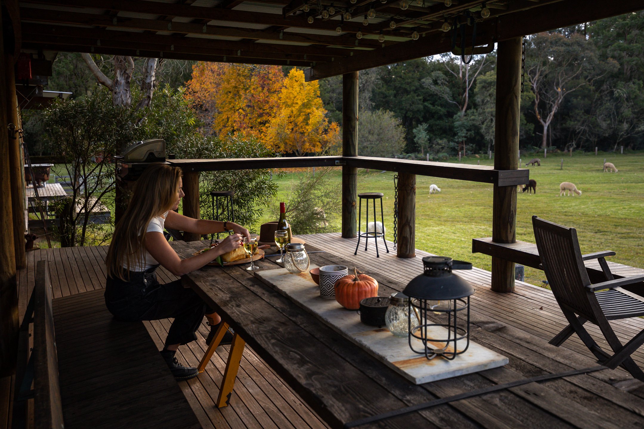 Large deck and hammocks