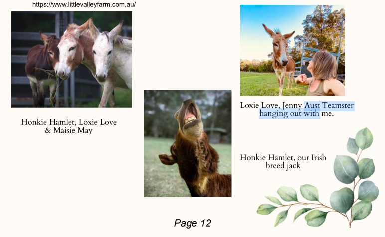 donkeys mag.png