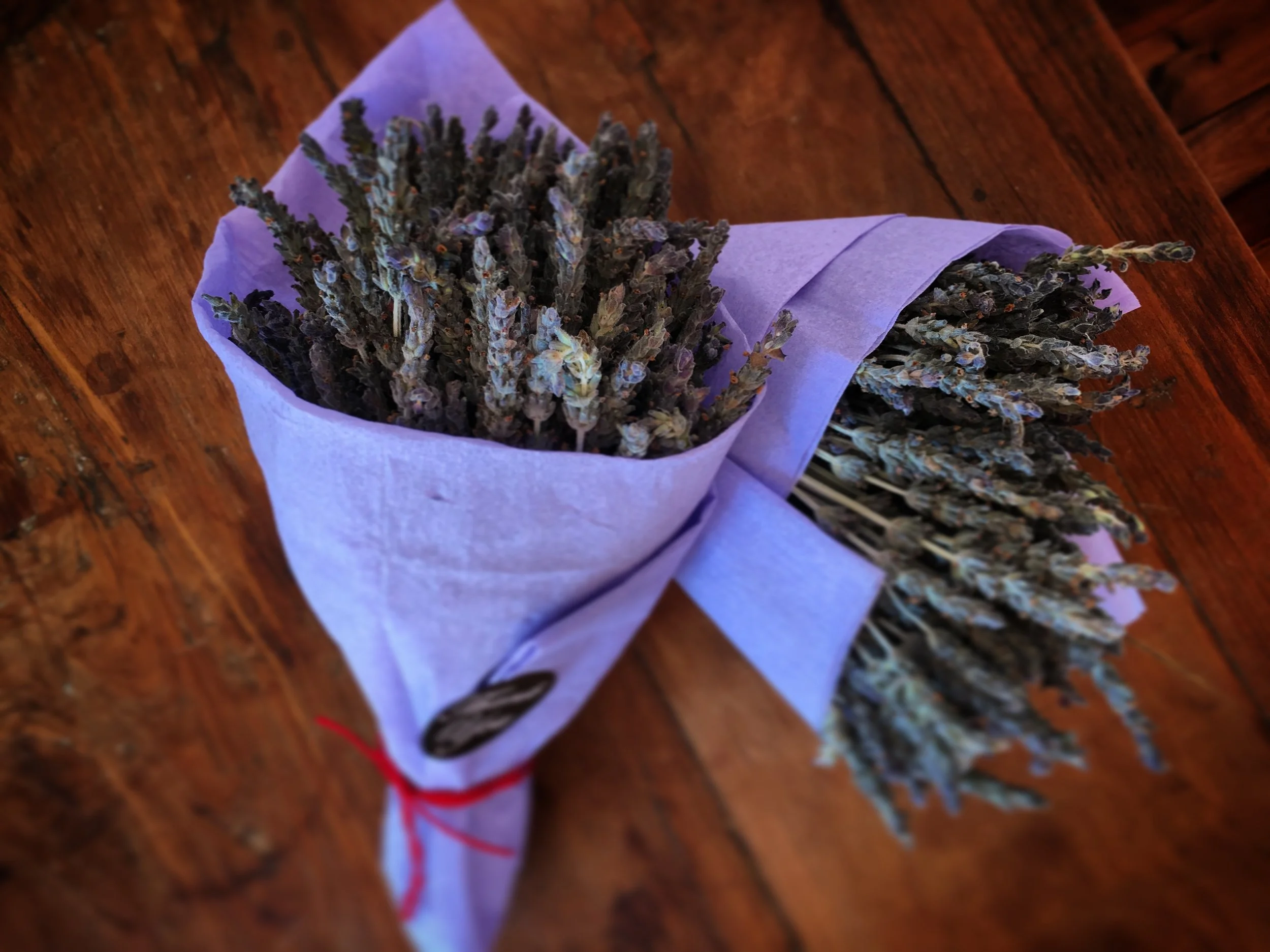 Little Valley Farm Summerhouse Pick your own lavender