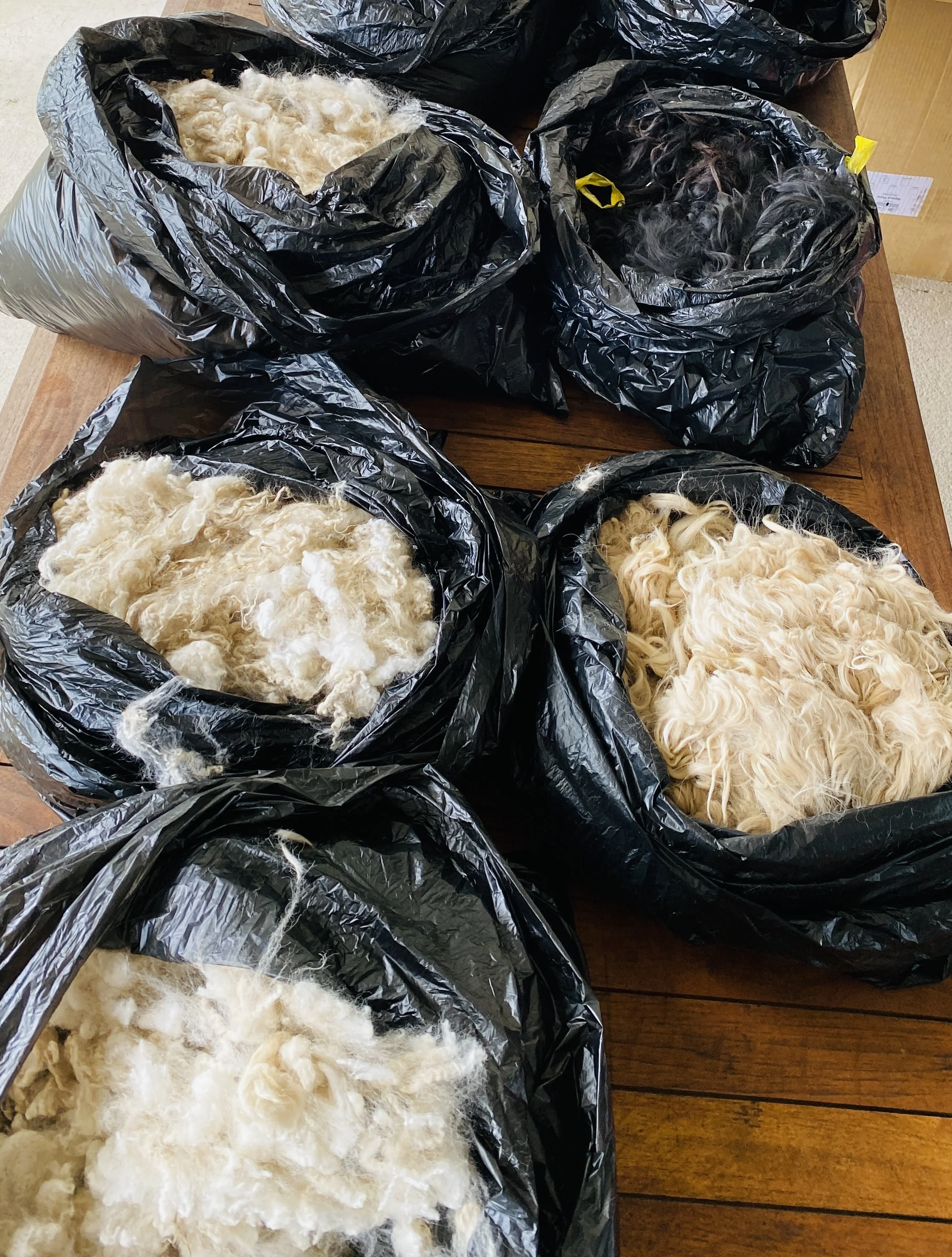 alpaca fleece littlevalley huntervalleyfleece alpaca yarn.JPG