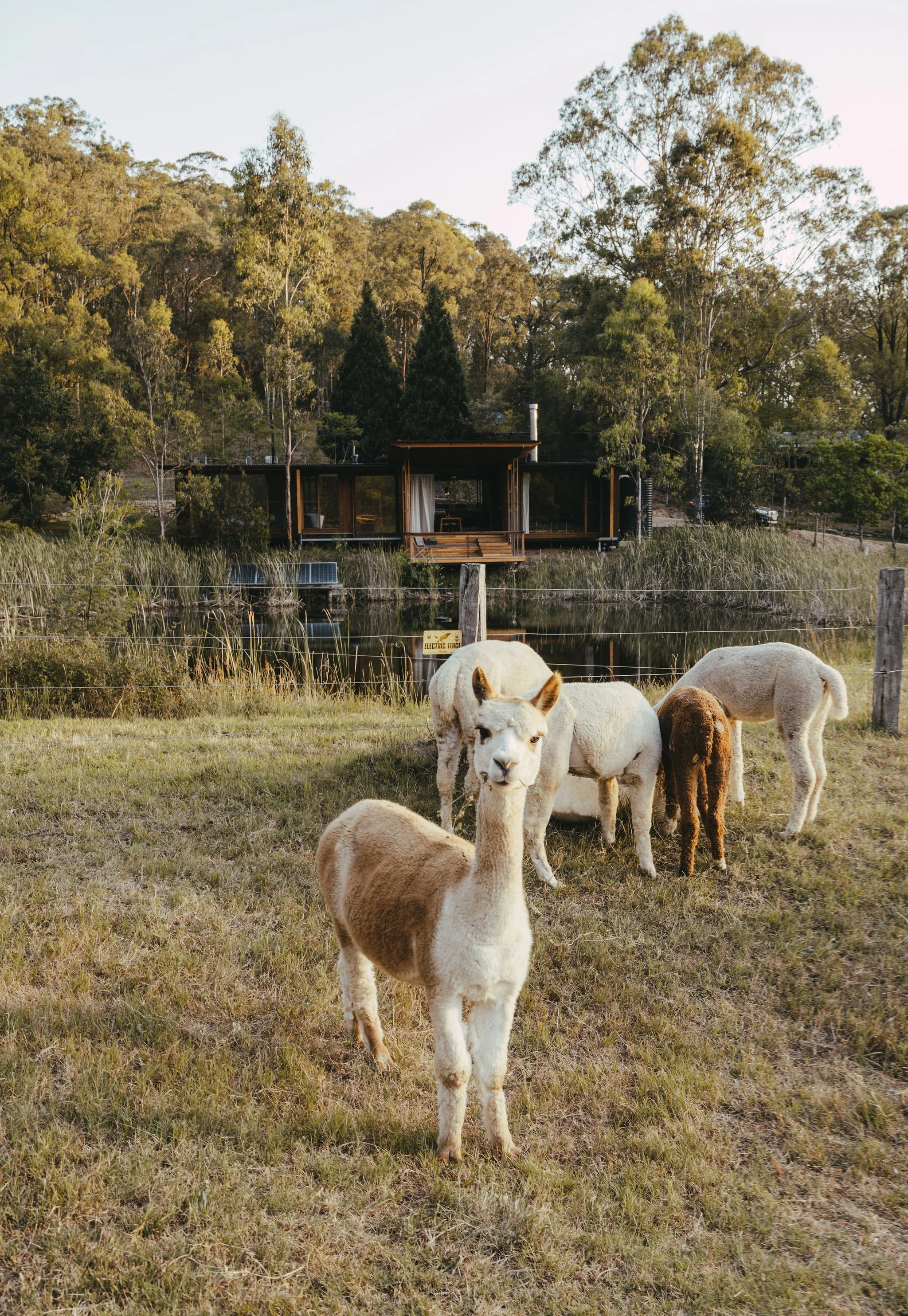 18 Of The Best Farm Stays In NSW To Book For A Country Escape Urban List Sydney