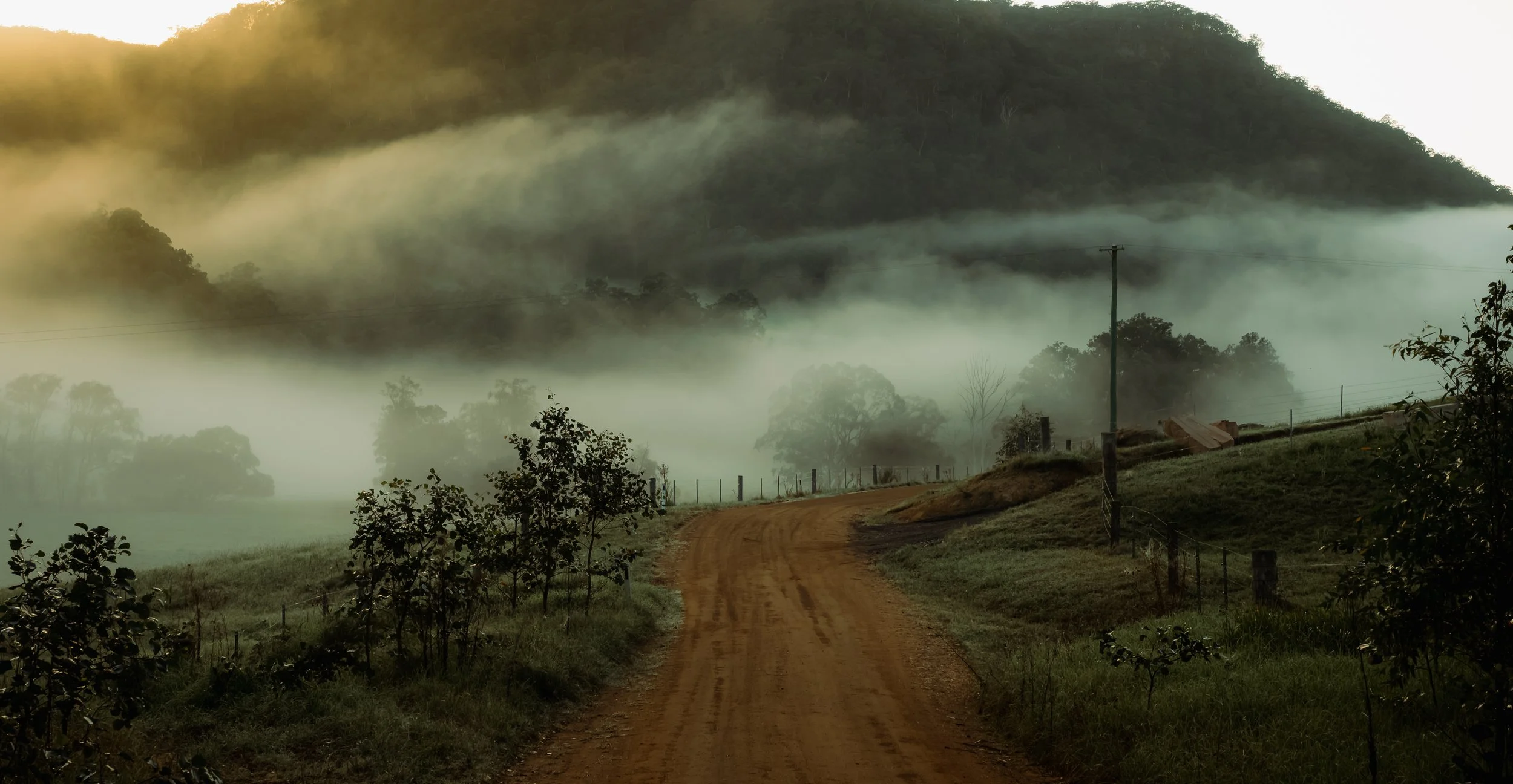 Nature Lovers, Bird Watchers & Lens Chasers – Welcome to Wollombi Valley