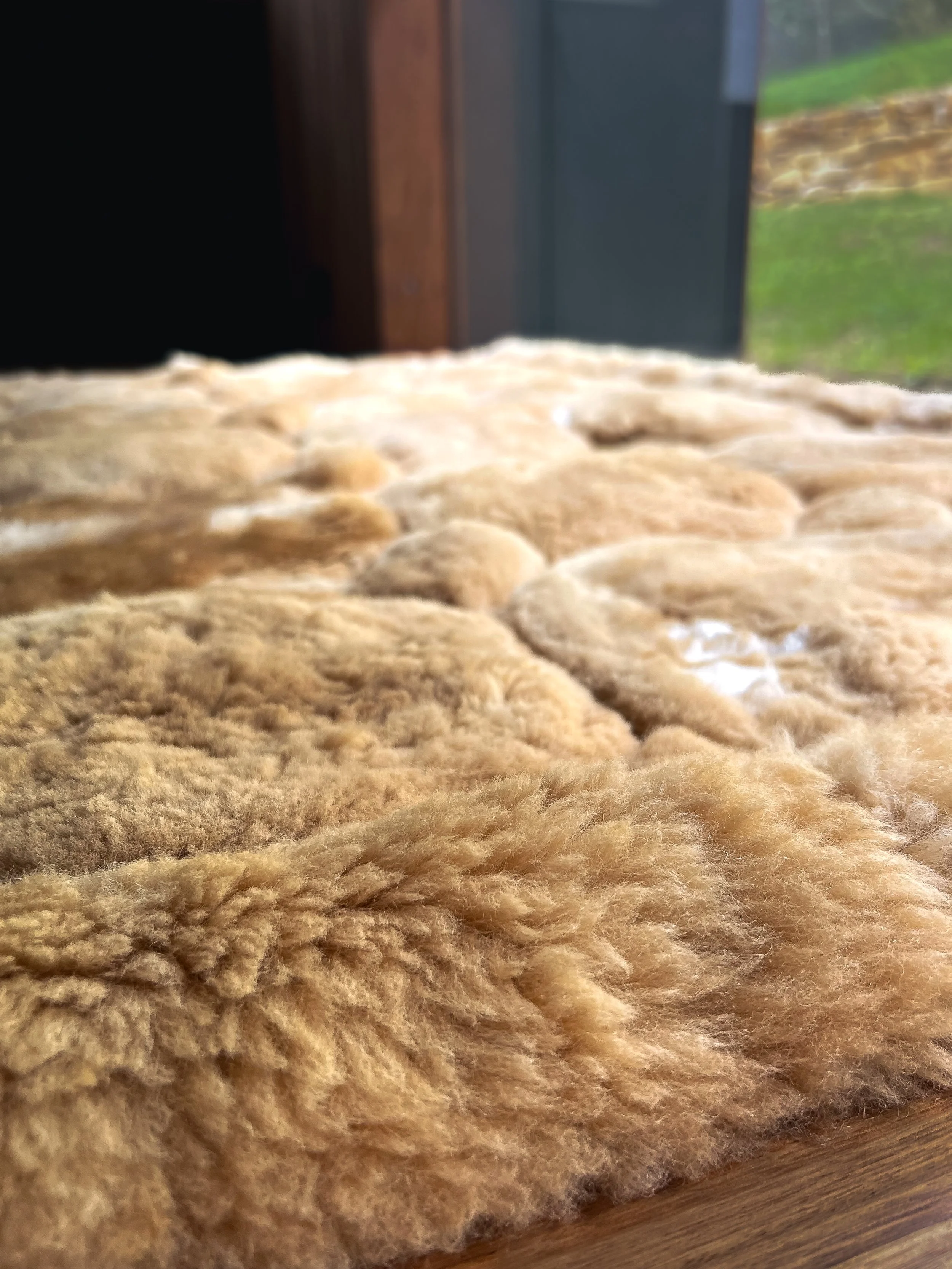 alpaca rug buy in Australia