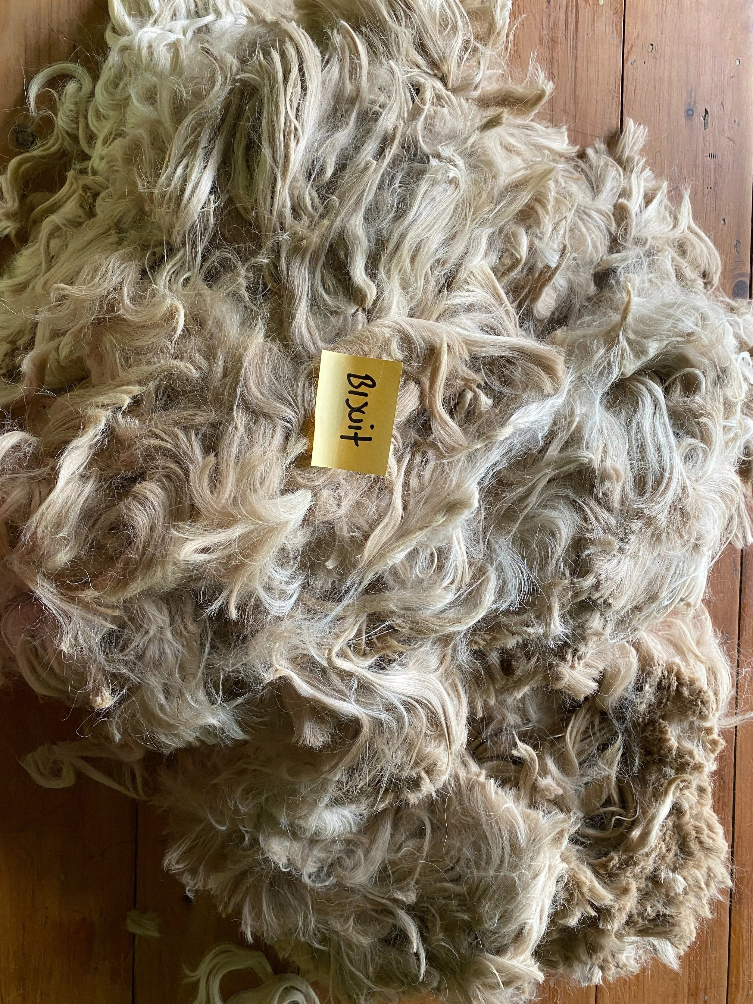 alpaca+raw+fleece+for+sale+hunter+valley+little+valley+farm.jpg