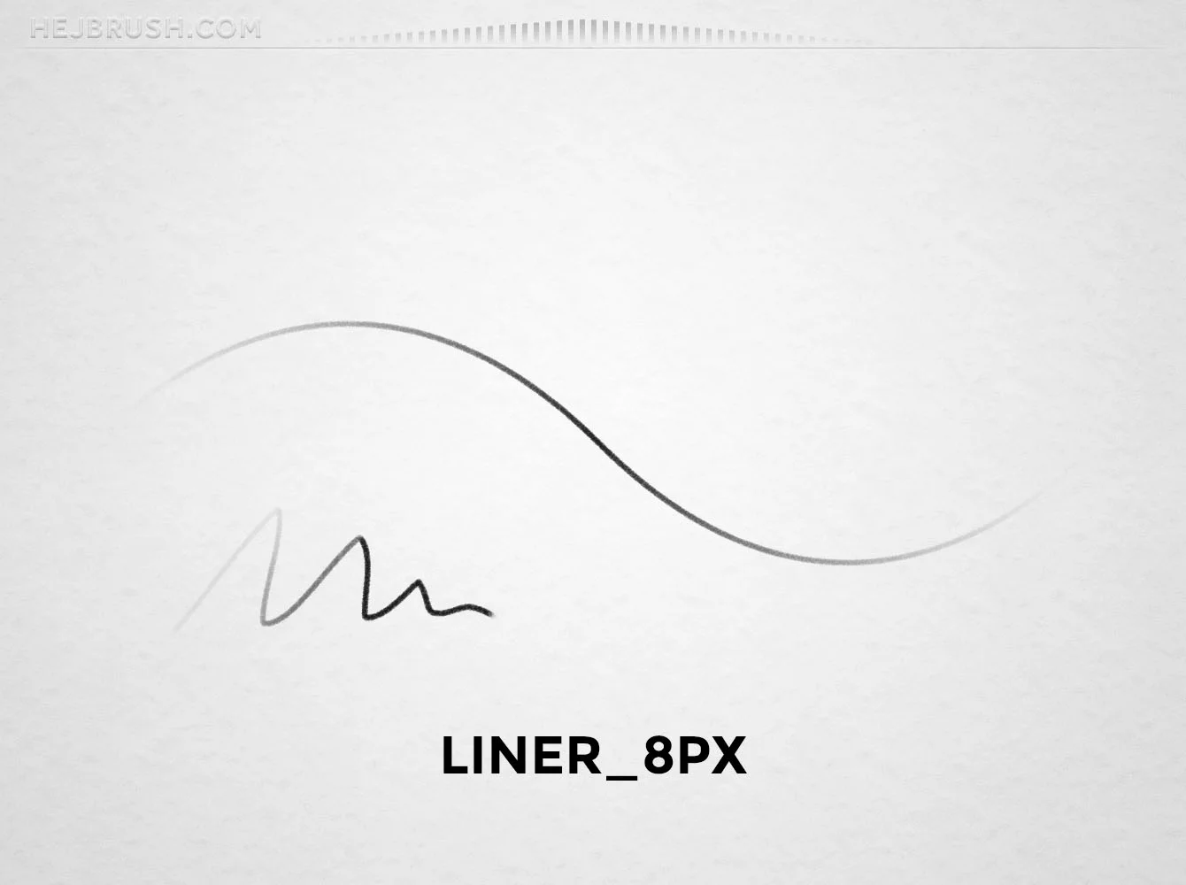 13_LINER_8PX.jpg