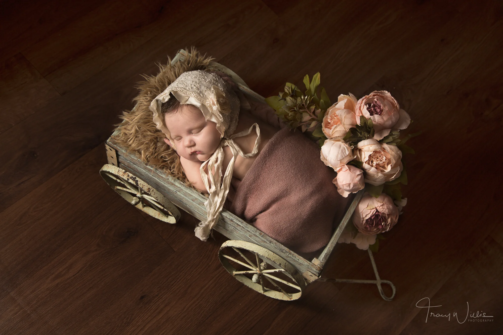 Newborn baby in cart by photographer covering Bournemouth and Poole, Dorset