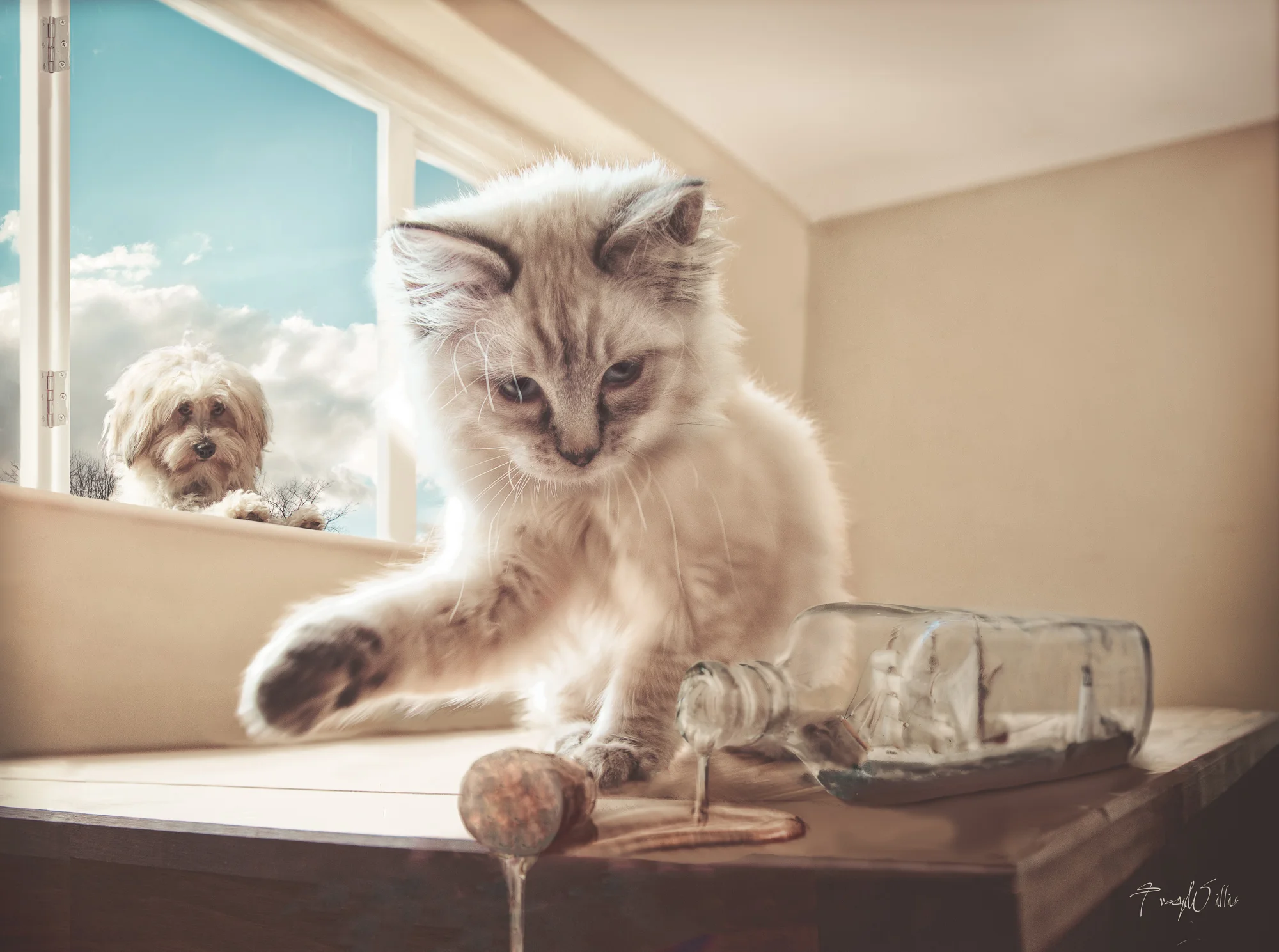 Kittens-Edit-Edit-Edit-Edit-Edit-Edit-2-Edit-Edit-3.jpg