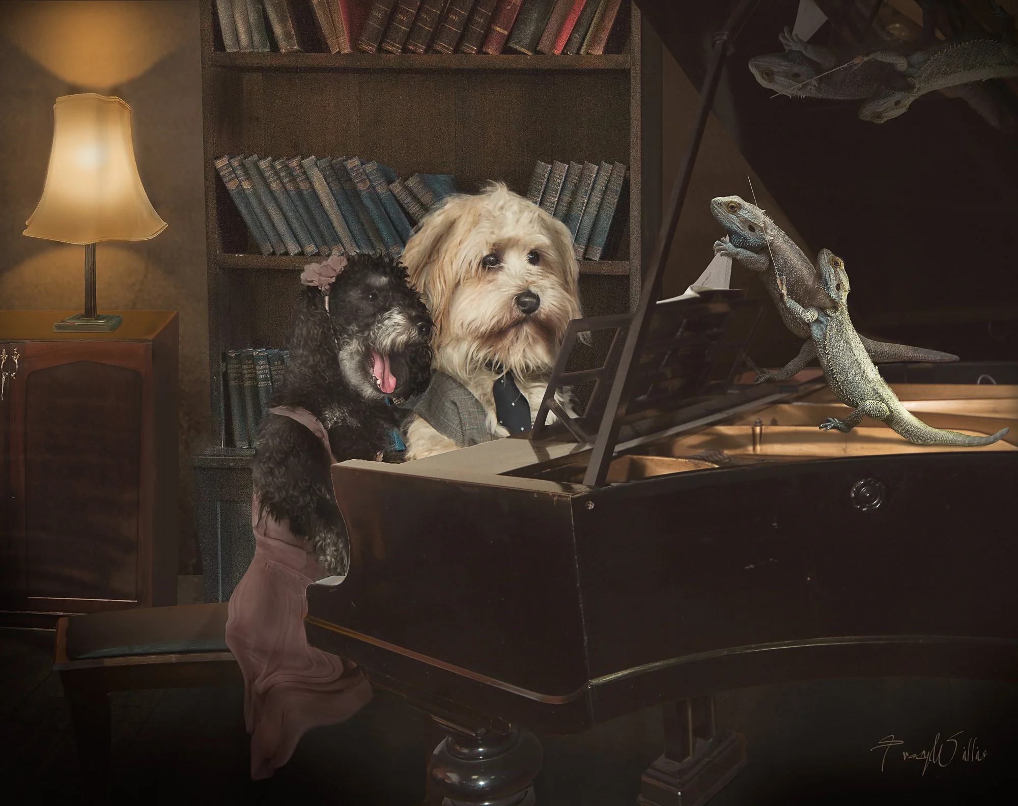 Piano dog-Edit-2-Edit-Edit.jpg