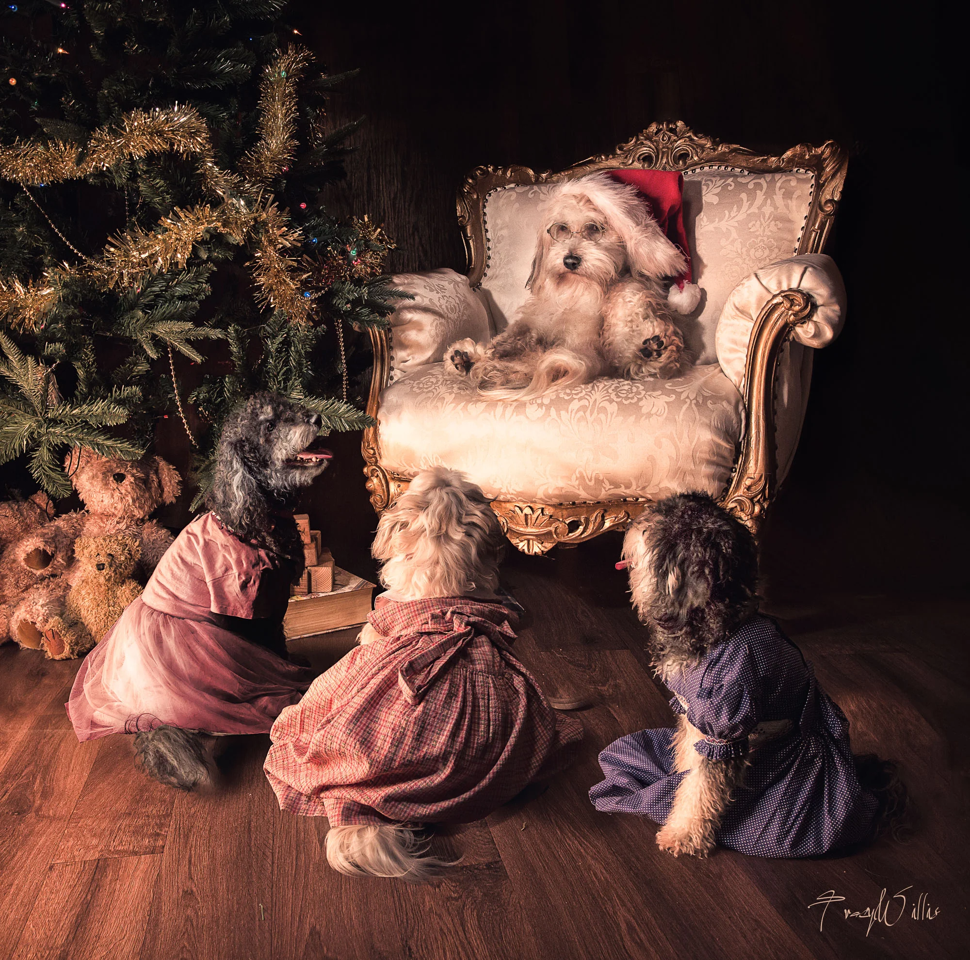 1U4A6268-Edit-Edit-Edit-Edit-Edit-2.jpg