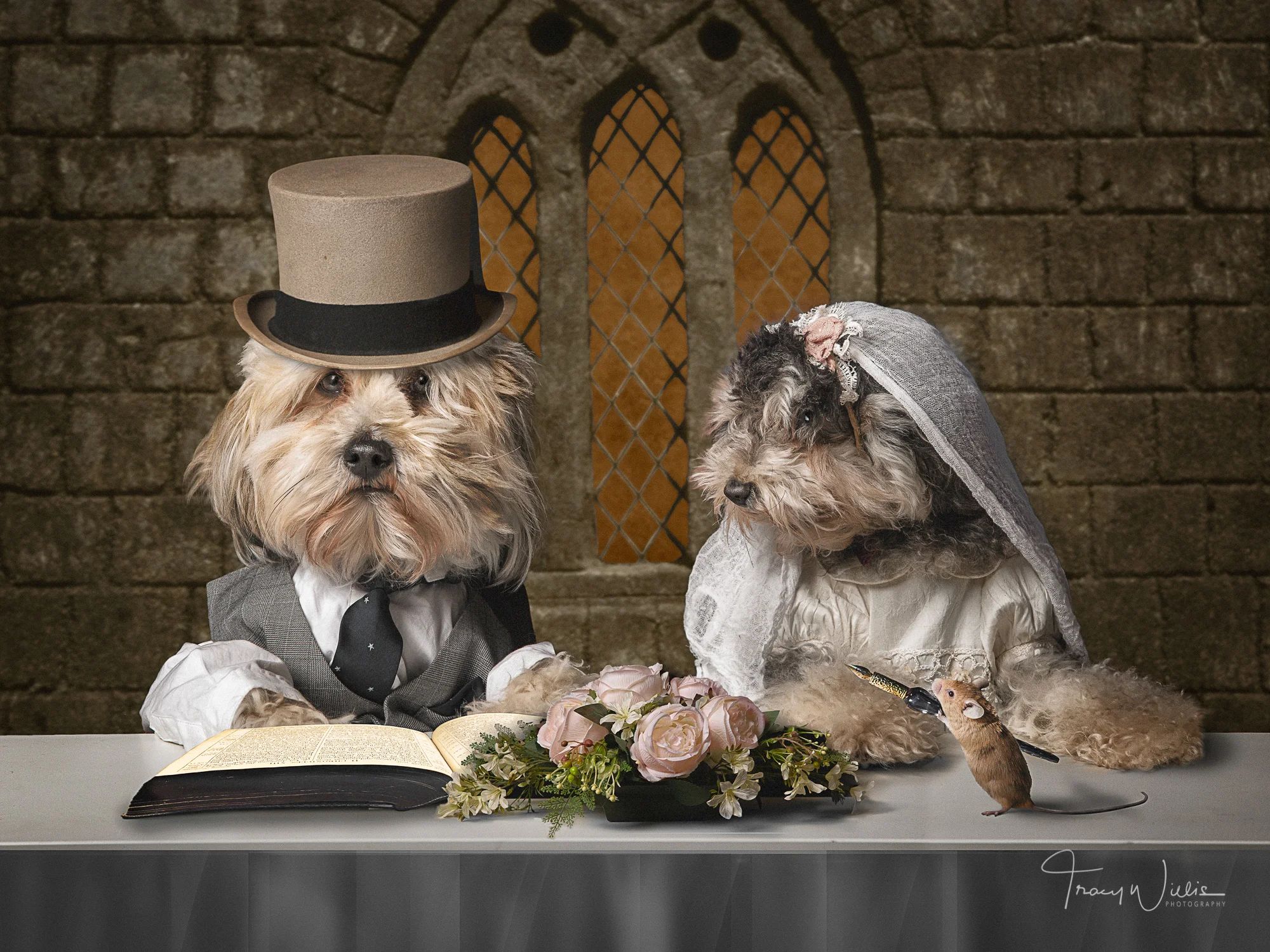 Tracy Willis Fine Art Photography Bournemouth-2.jpg