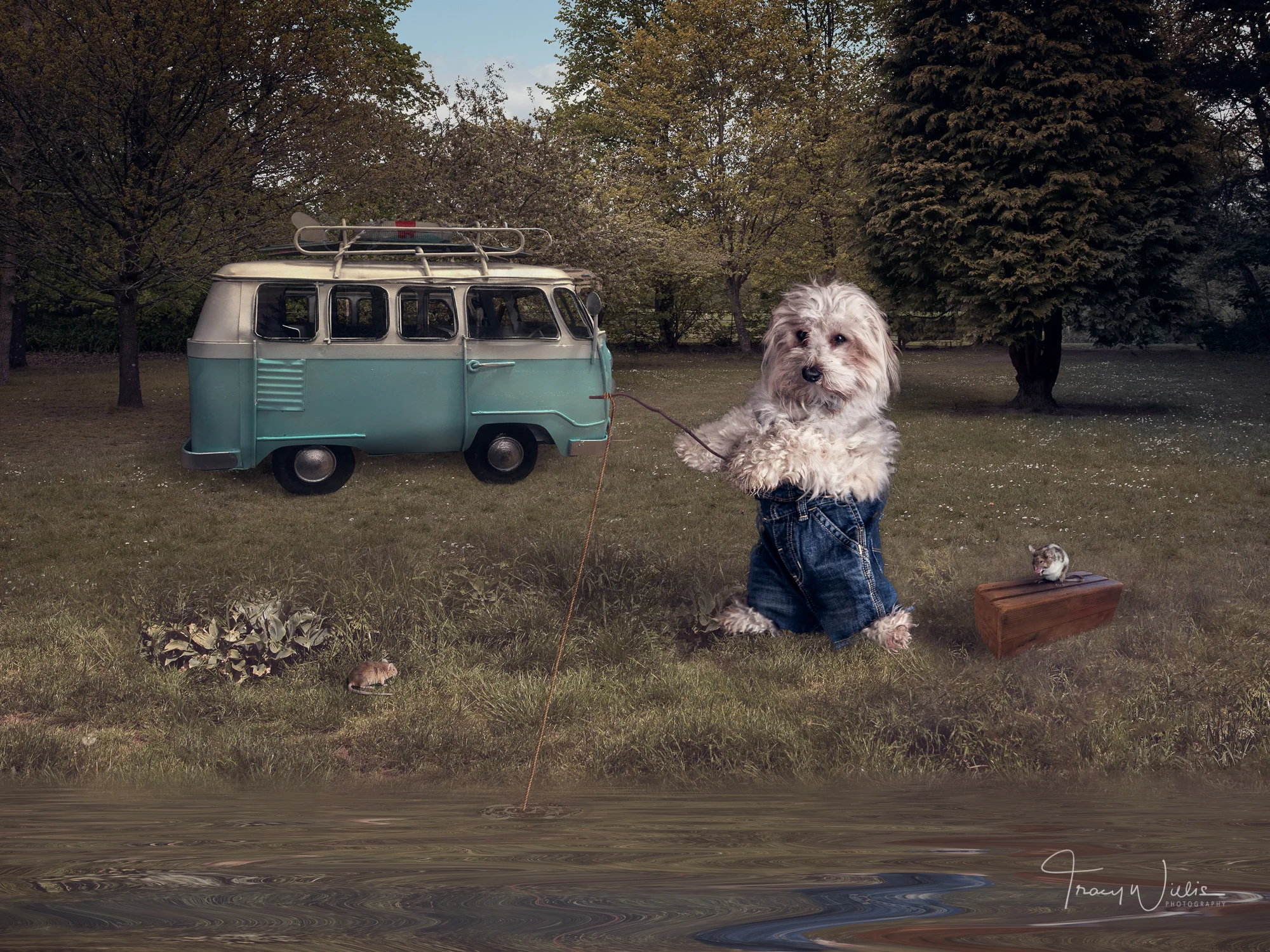 Tracy Willis Fine Art Photography Bournemouth-16.jpg