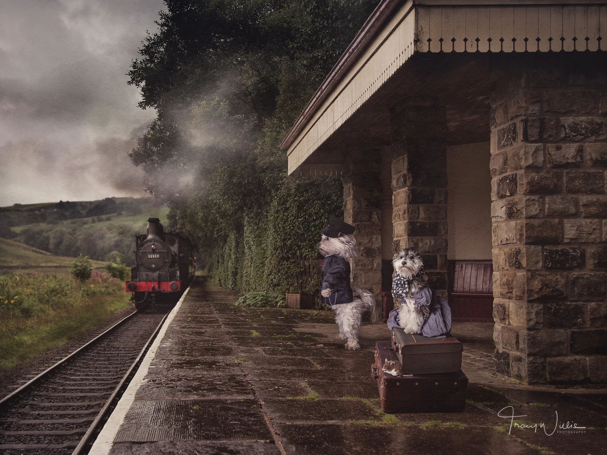 Tracy Willis Fine Art Photography Bournemouth-20.jpg