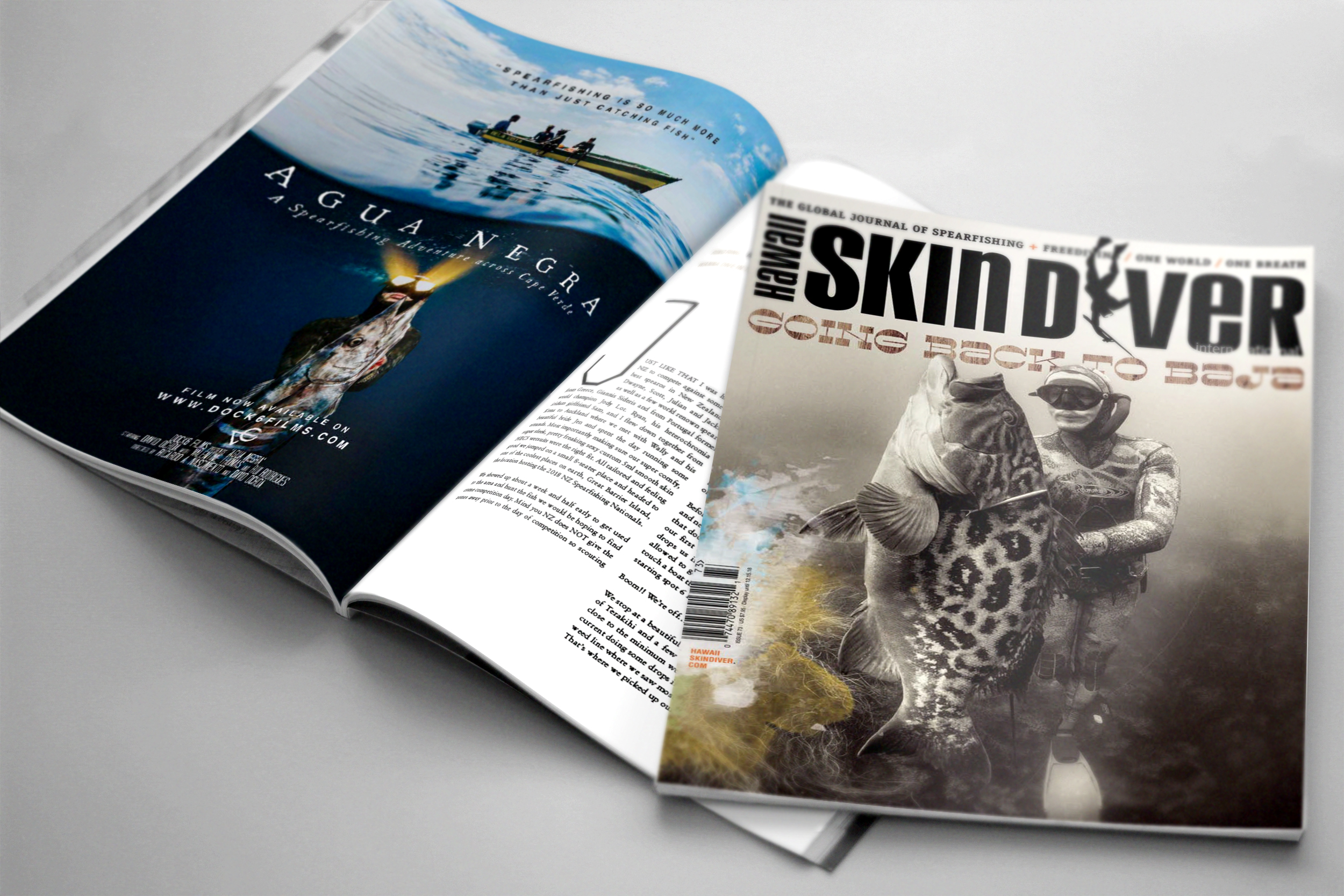 skind diver AN ad.jpg