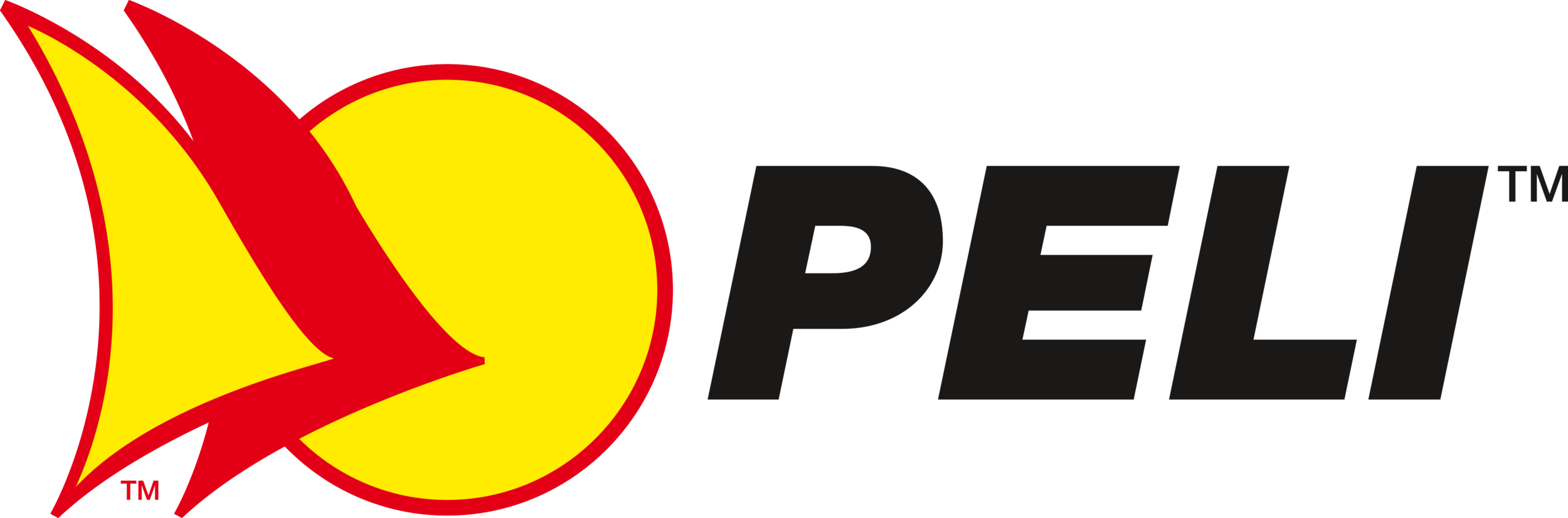 Peli_Cases_Logo.png