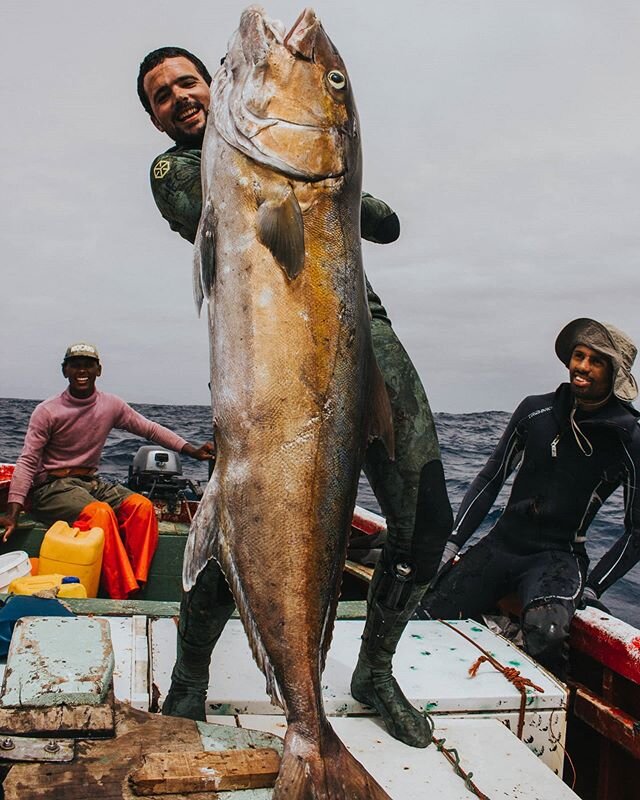 On a local boat fishing with local fishermen, catching one of the biggest fish of the trip. @davidochoapt stocked on this Amberjack! 
Shot by @ruirodrigves while filming @aguanegrathemovie