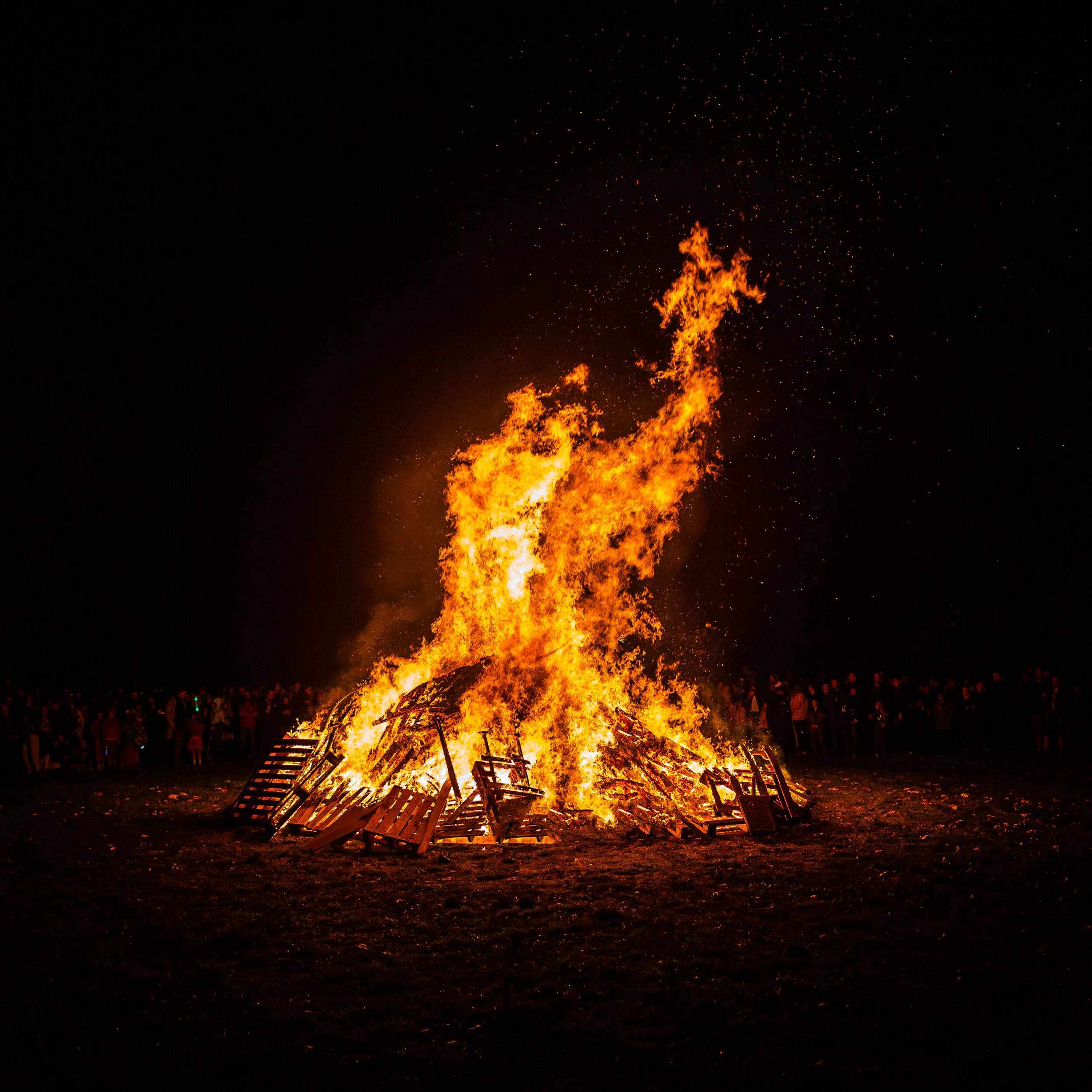 5O6A2503.jpg