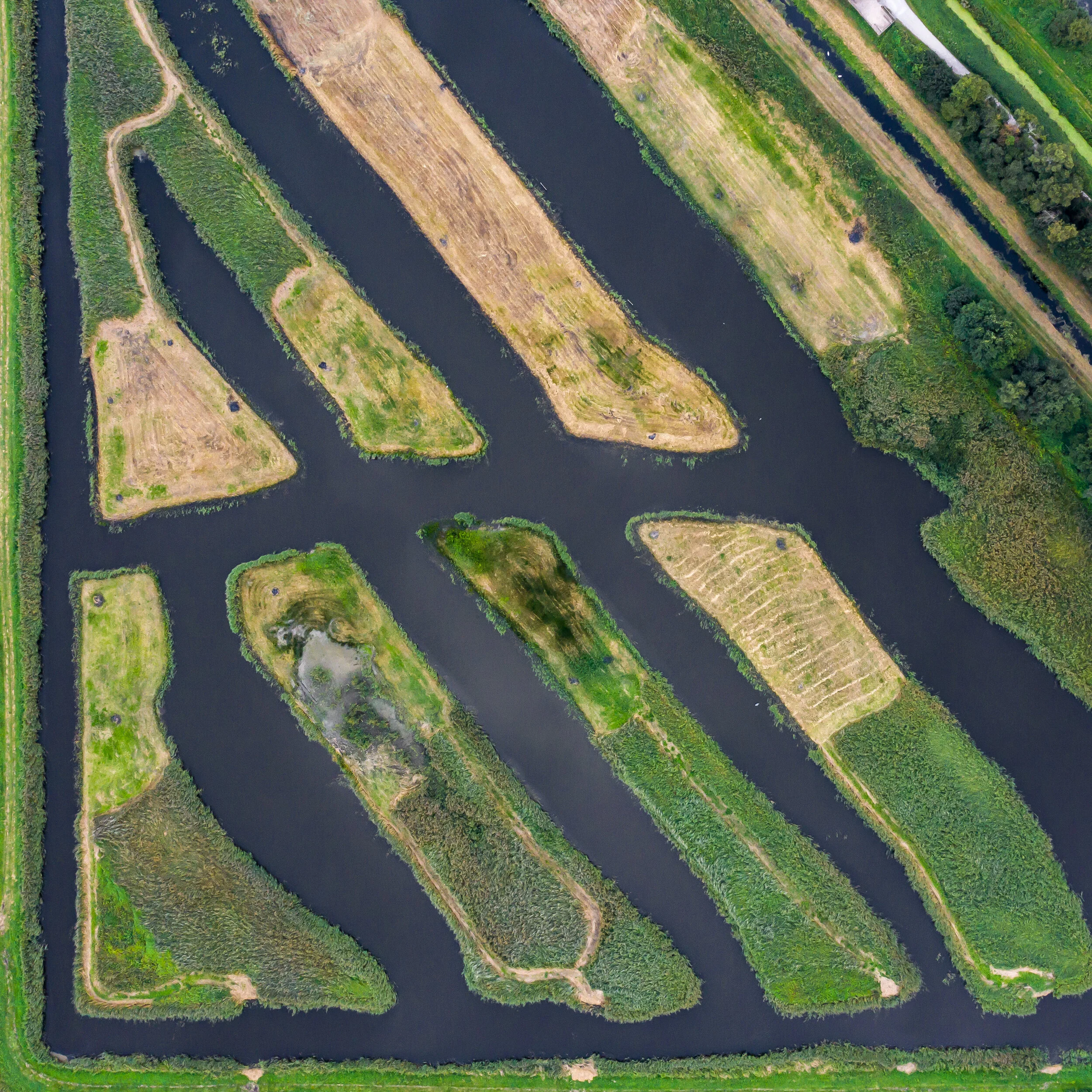DJI_0601.jpg