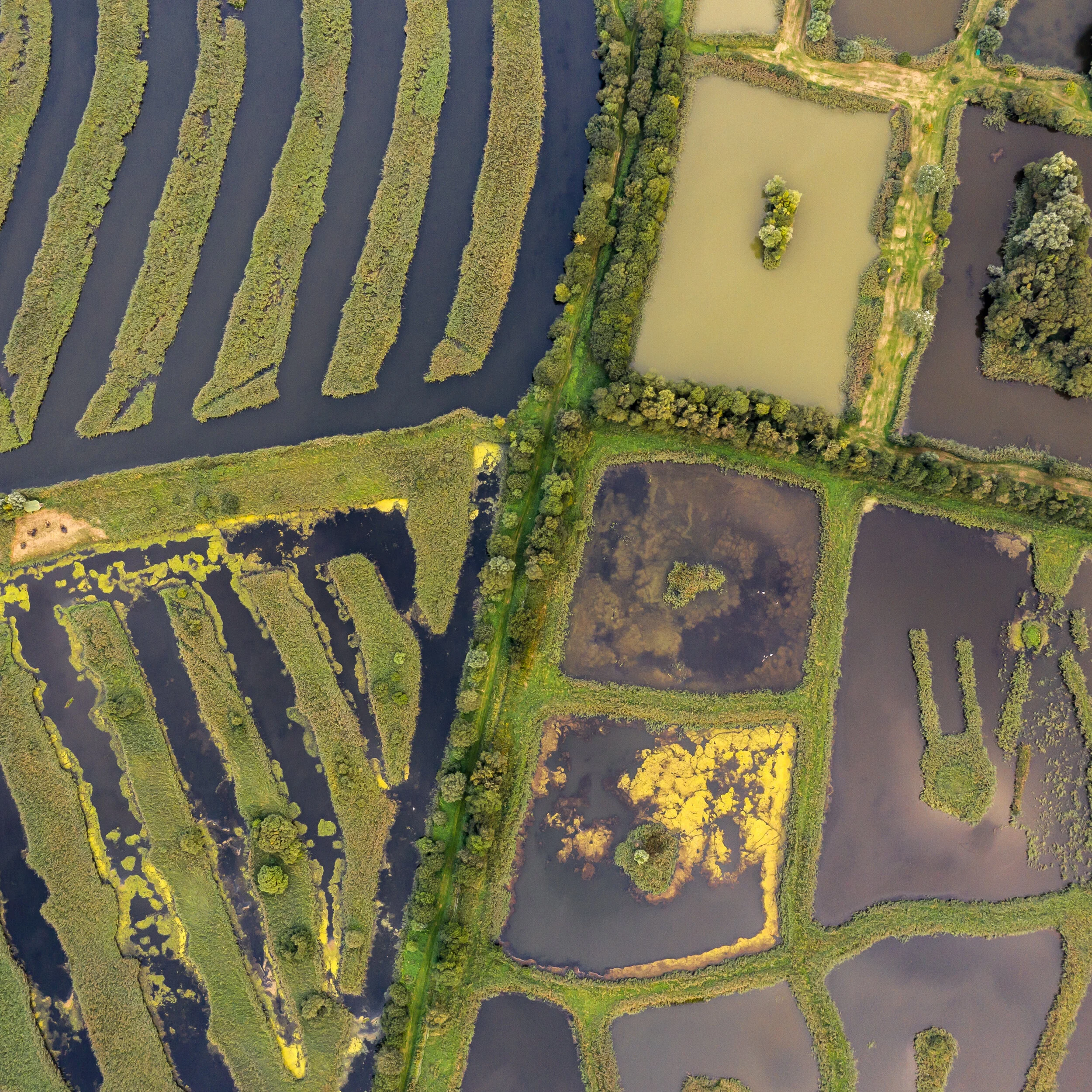 DJI_0607.jpg