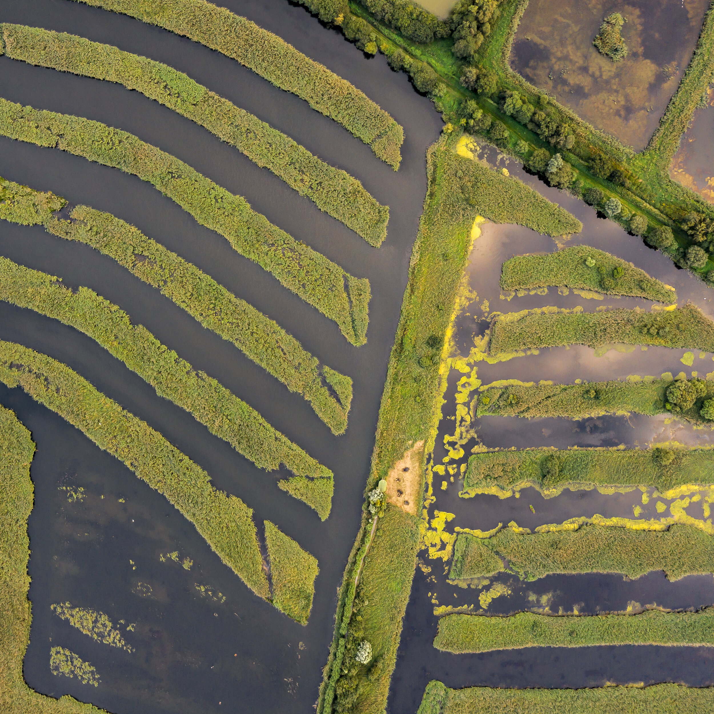 DJI_0610.jpg