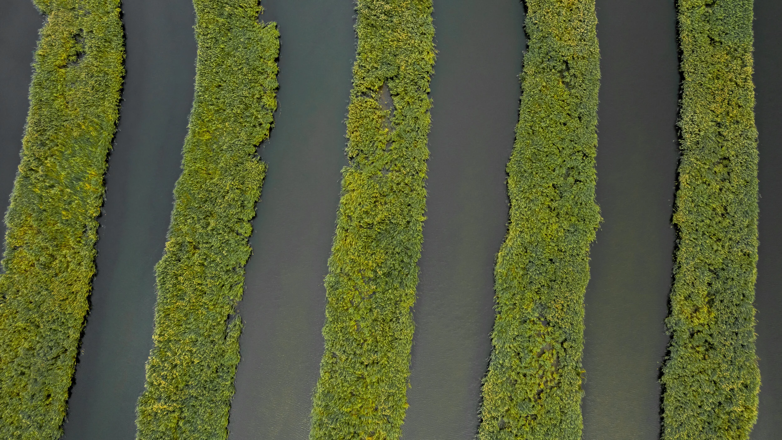 DJI_0615.jpg