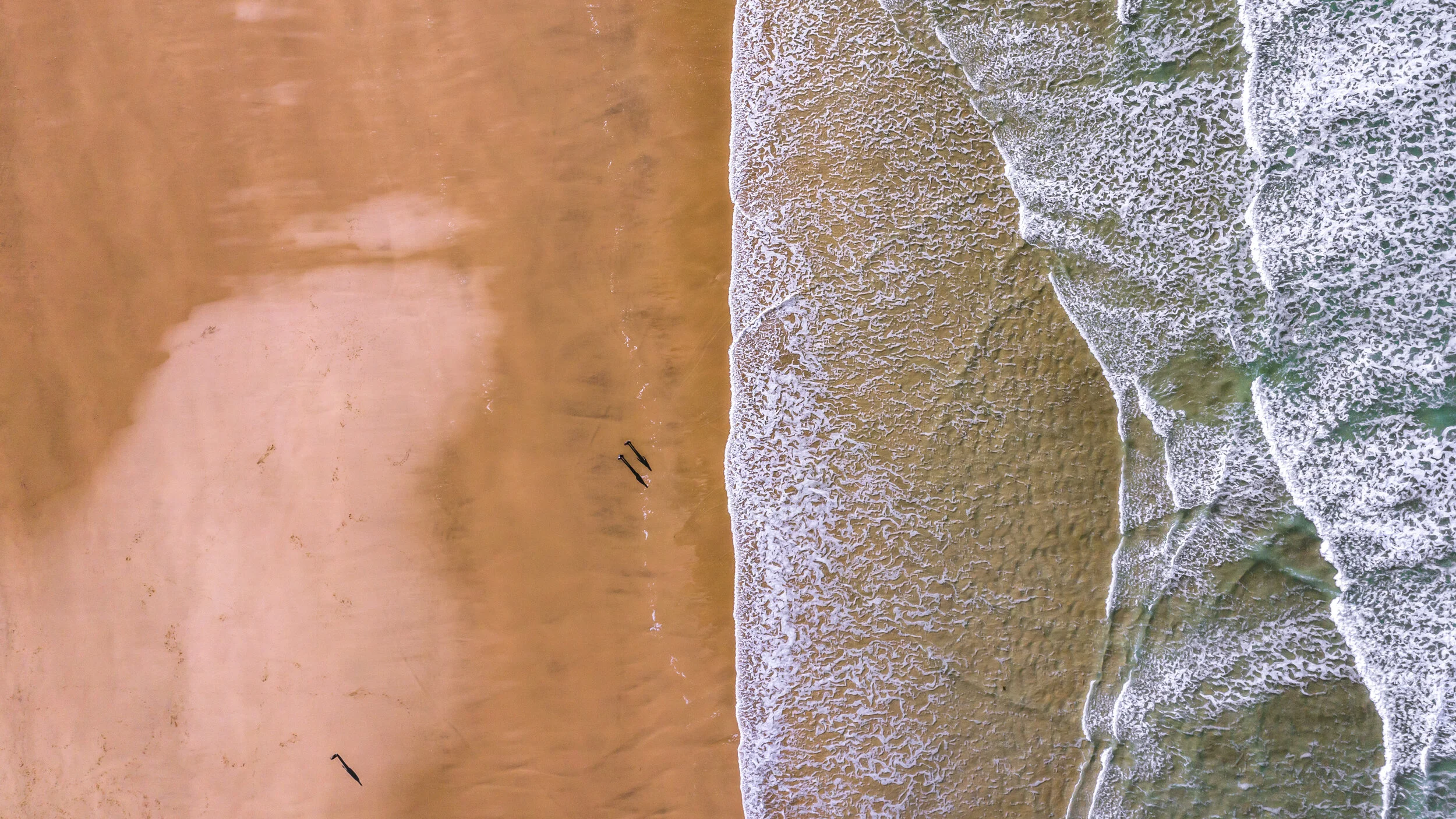 DJI_0795.jpg