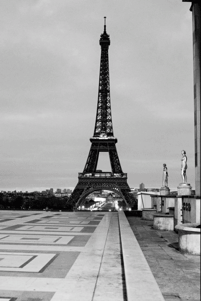 Paris-Ding_SOUND_GIF.gif