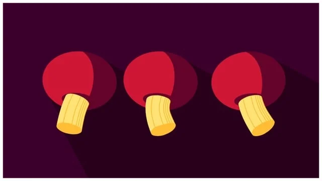 Spring Festival | Motion Graphics Animation (Chinese New Year Theme)