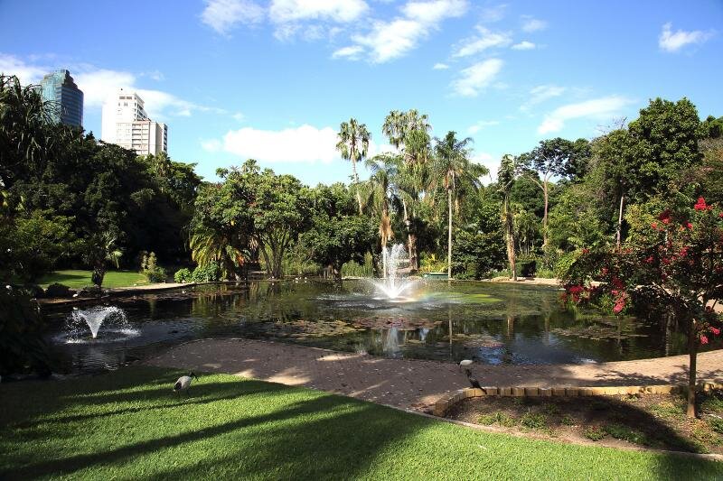 City-Botanic-Gardens.jpg