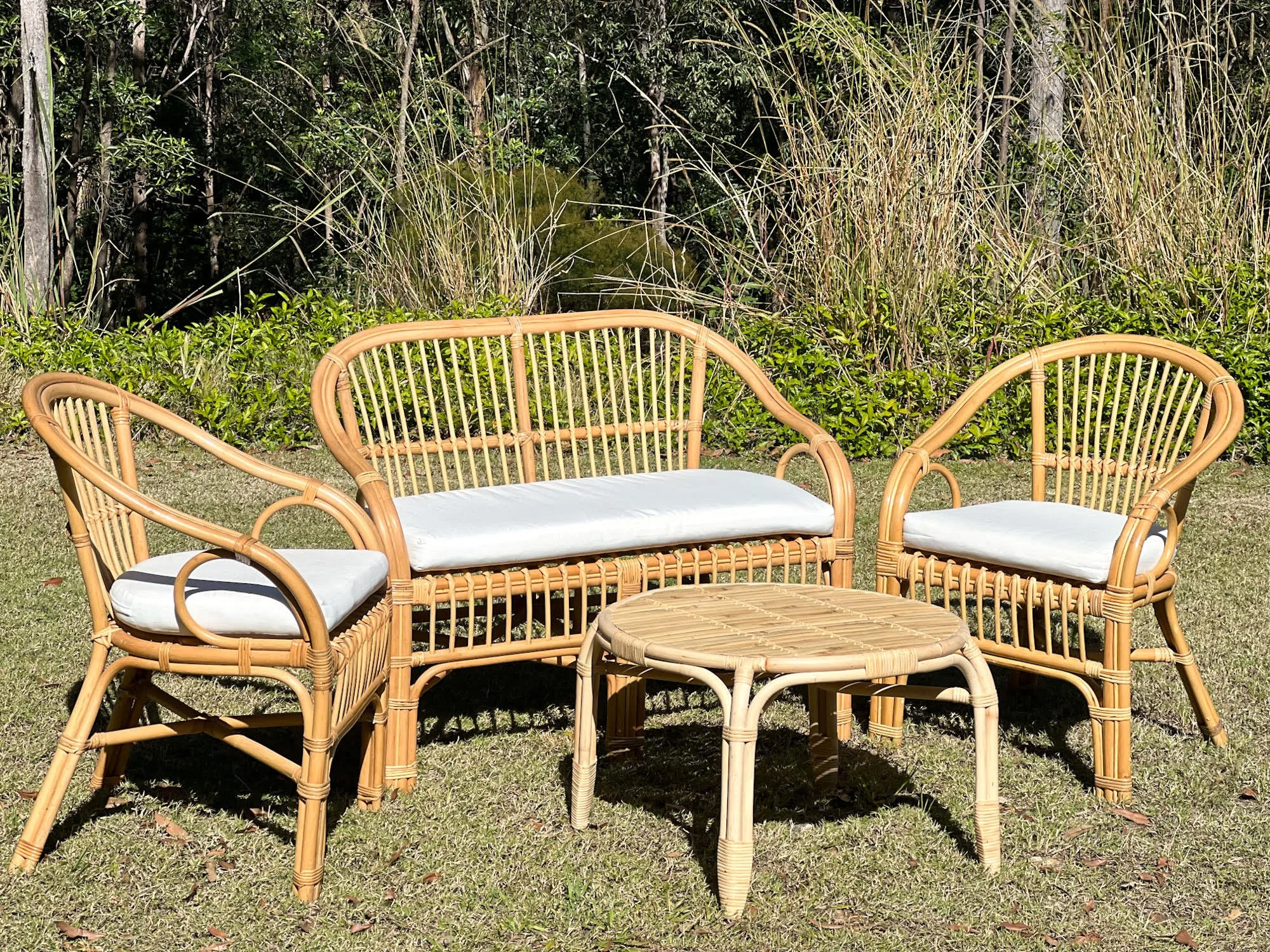 Rattan 4 Piece Setting