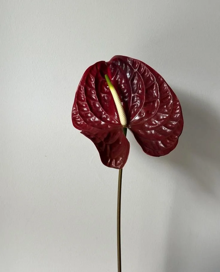 Anthurium Faux Floral .jpg