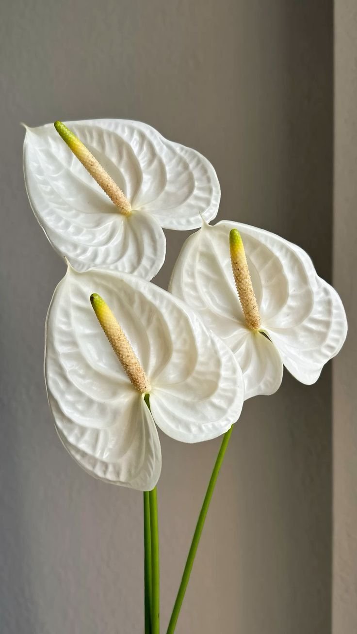 Anthurium Faux Floral 2.jpg