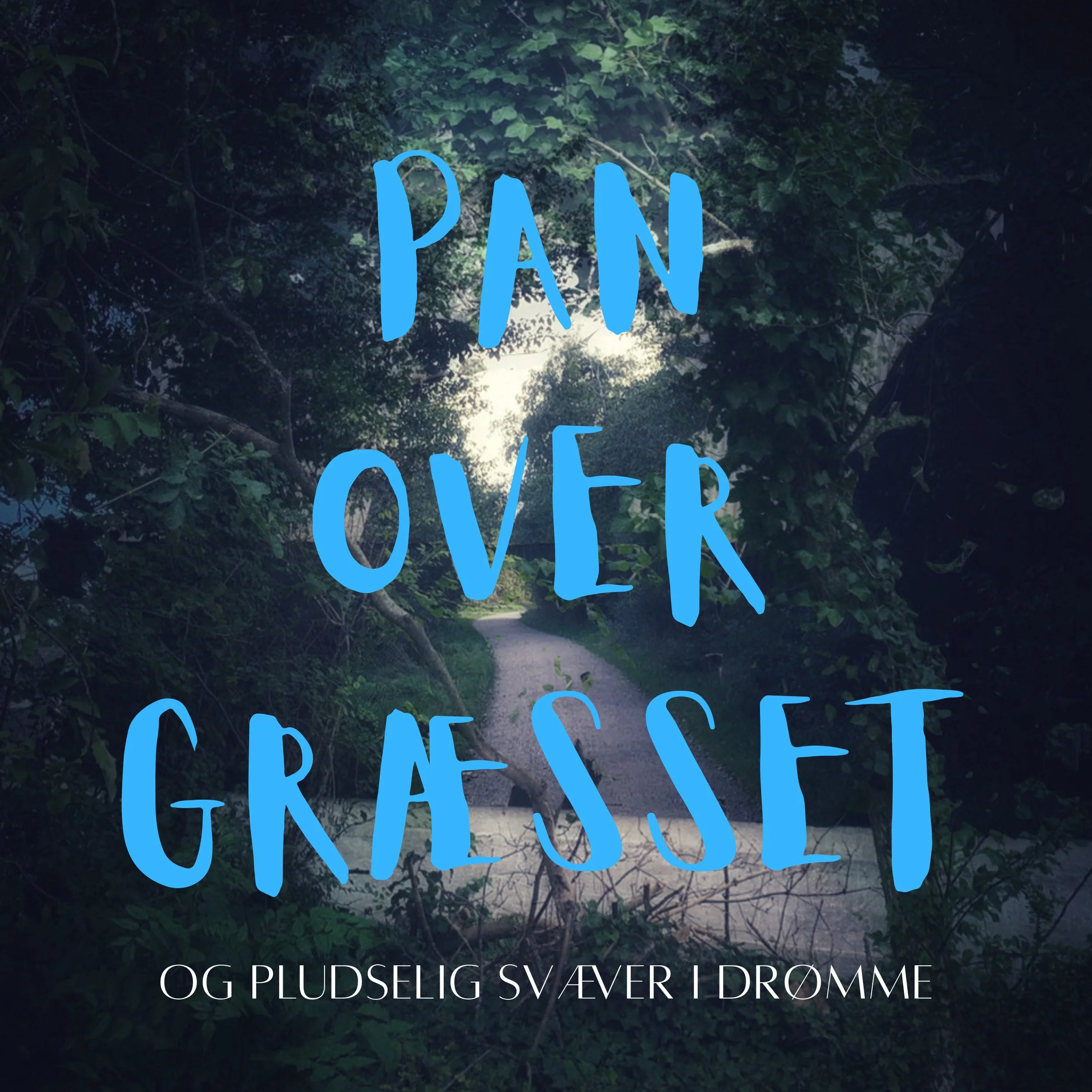 PAN OVER GRÆSSET OG PLUDSELIG SVÆVER I DRØMME