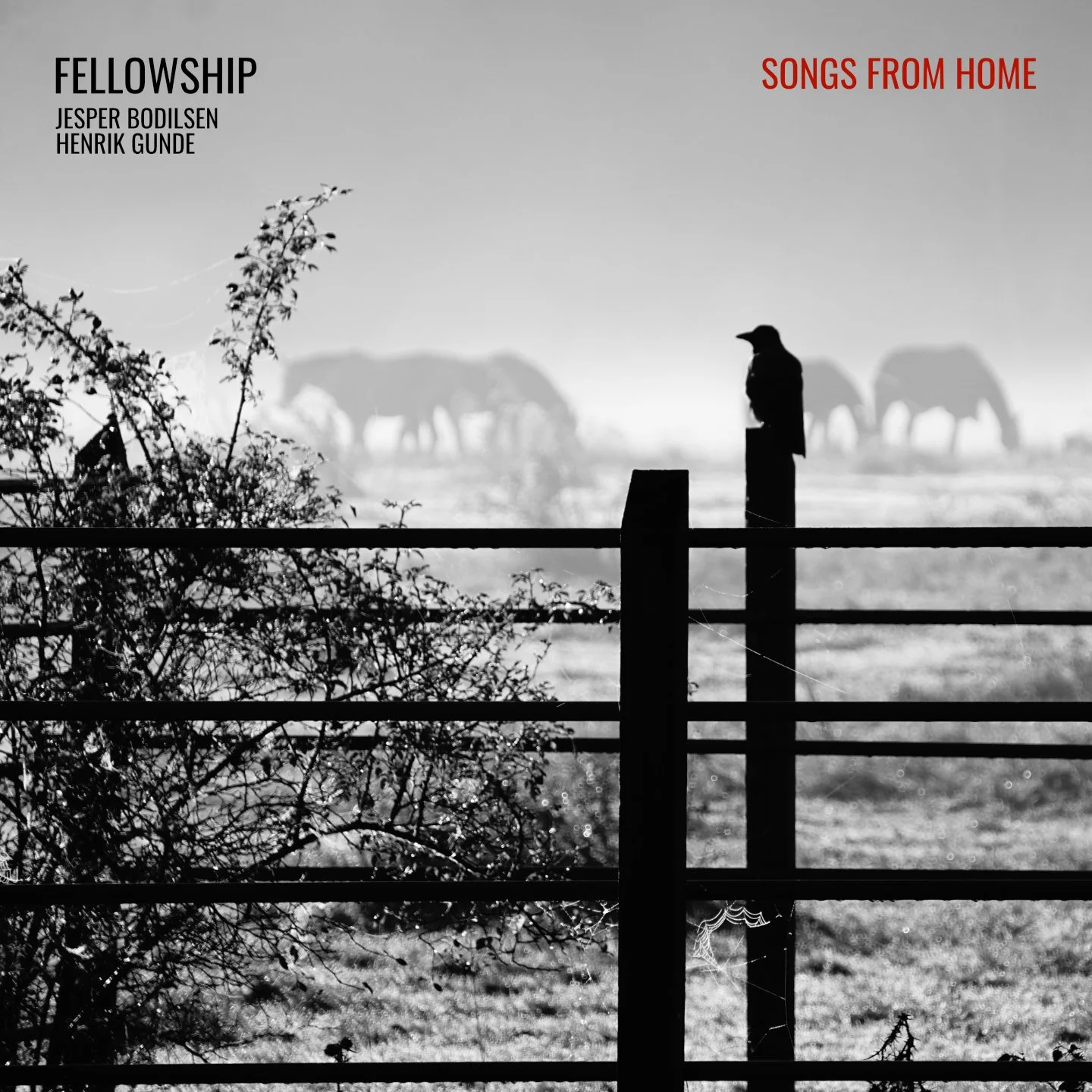 SONGS FROM HOME