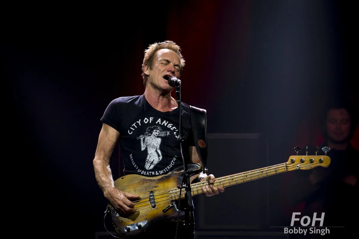 sting-7955.jpg